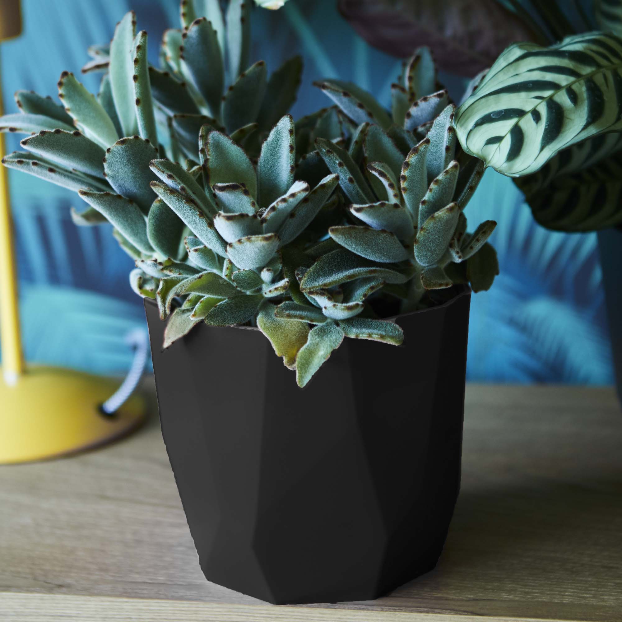 8711904313098_3.jpg b61baf14aa9b13423dc297b3e70e2b08