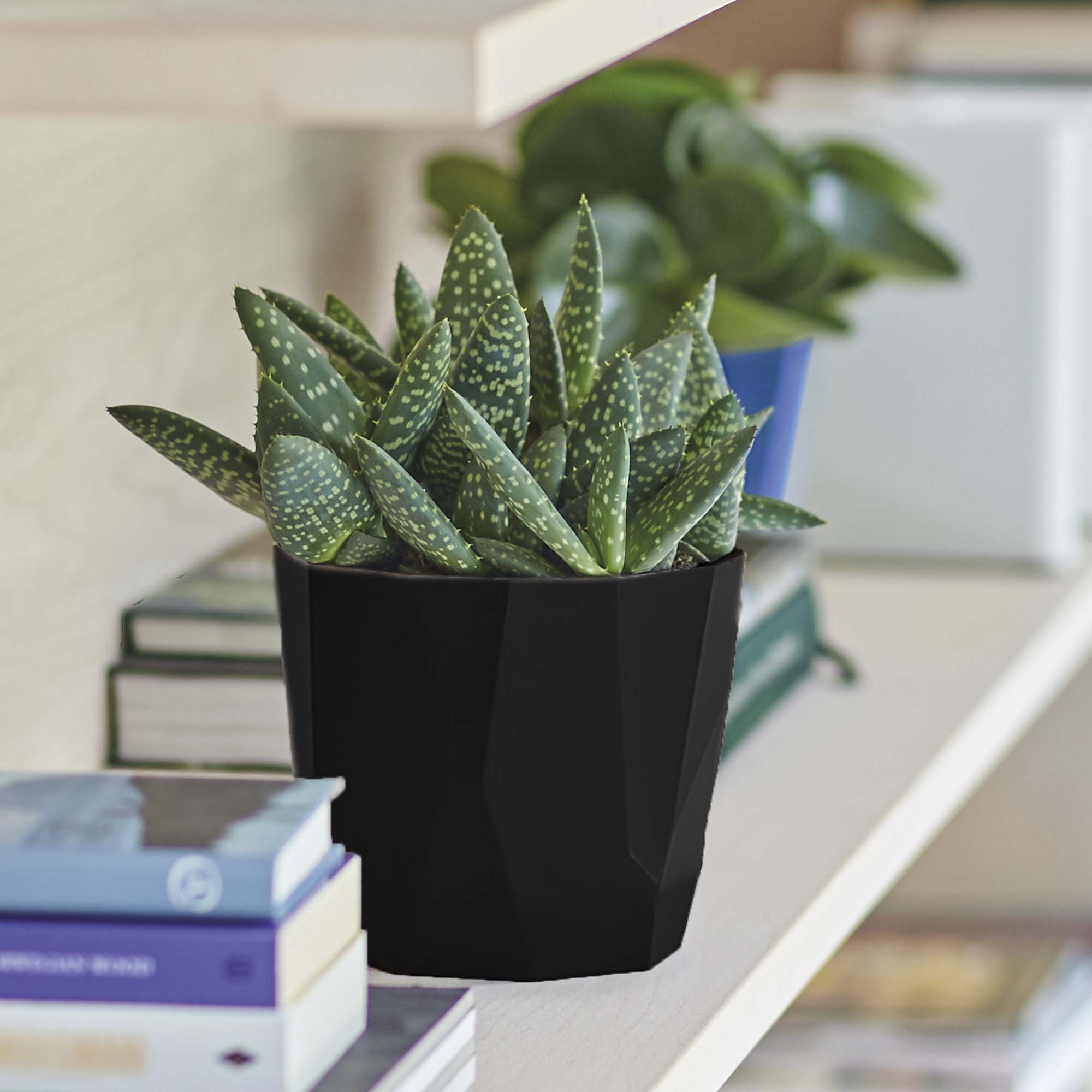 8711904313098_4.jpg dba518bfd6838ffc8728be58c7ae77c4