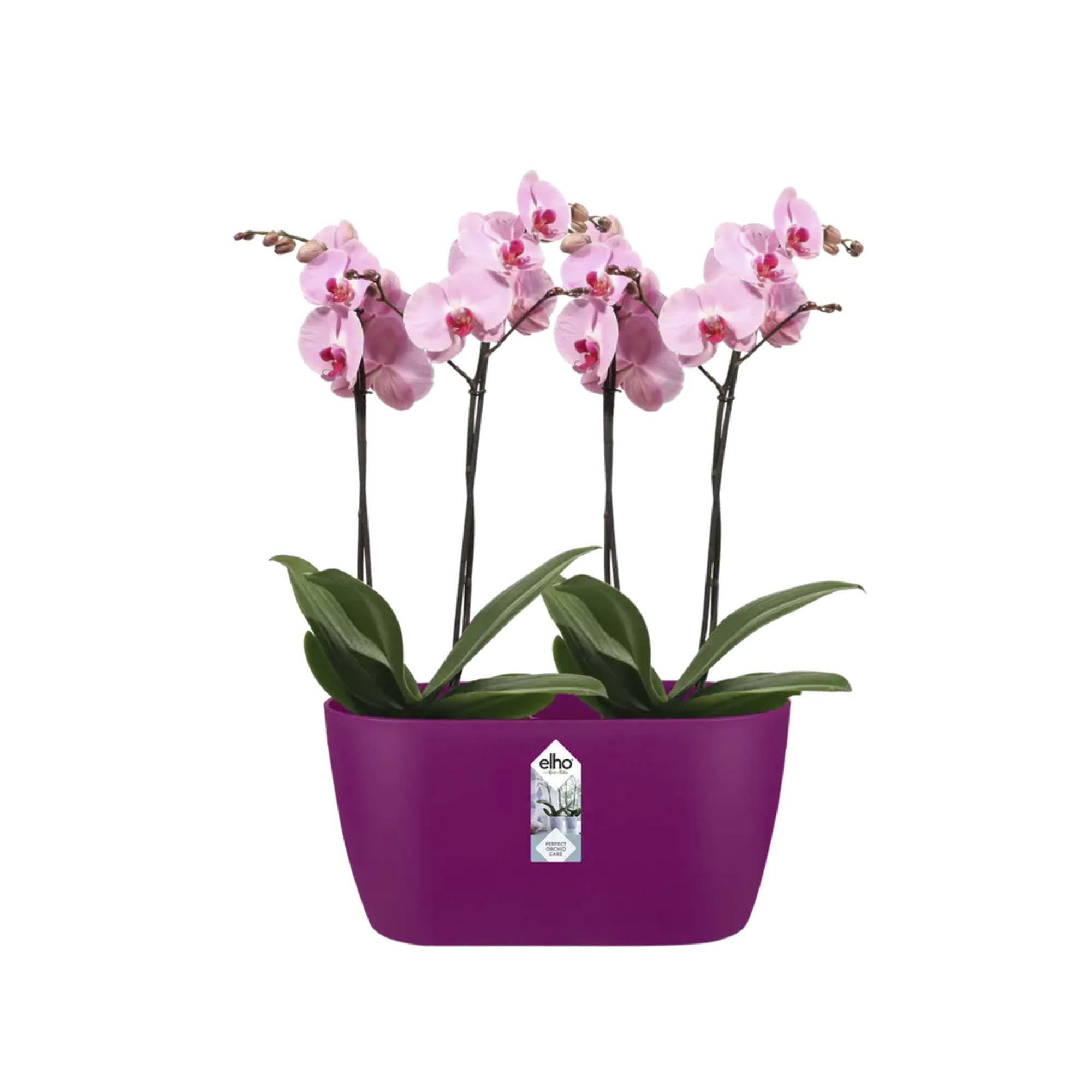 d53962b3e205fc4306d83d3f3f6d536b