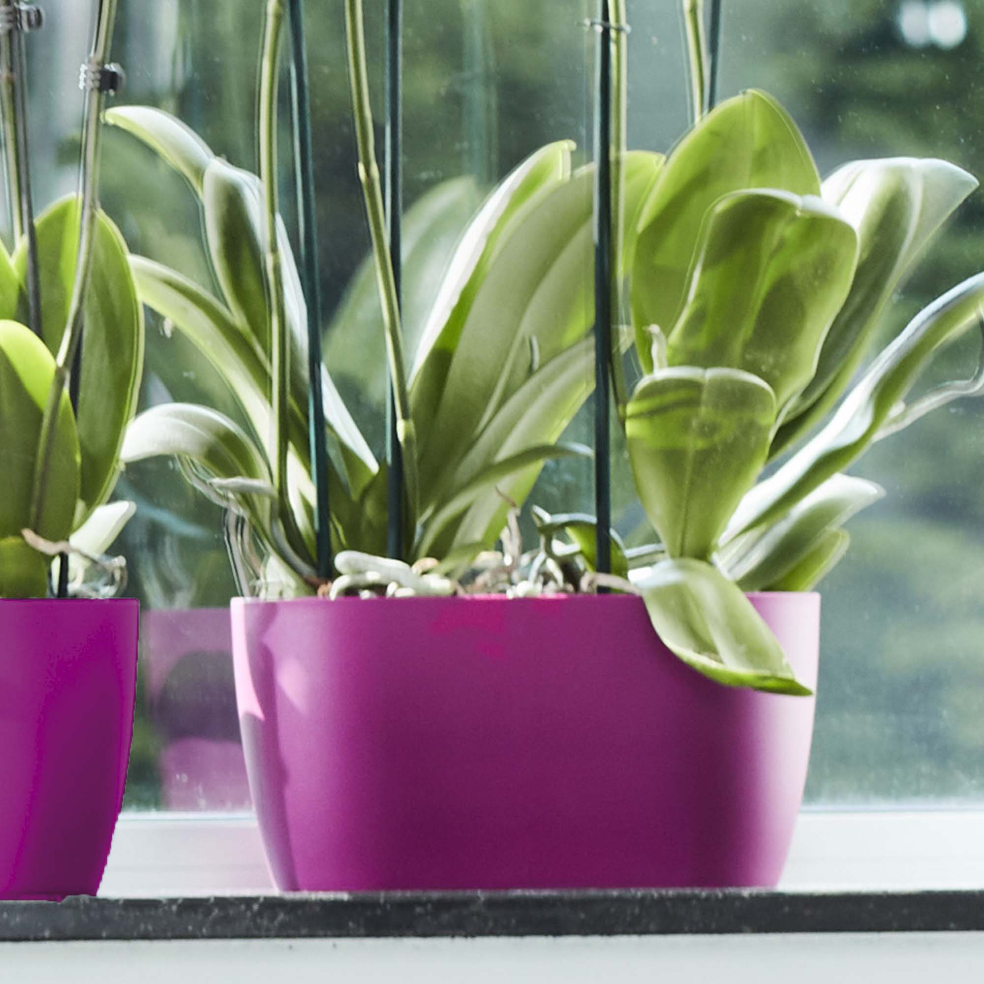 2d305e81d7da4386afdd5bdeb978ad09