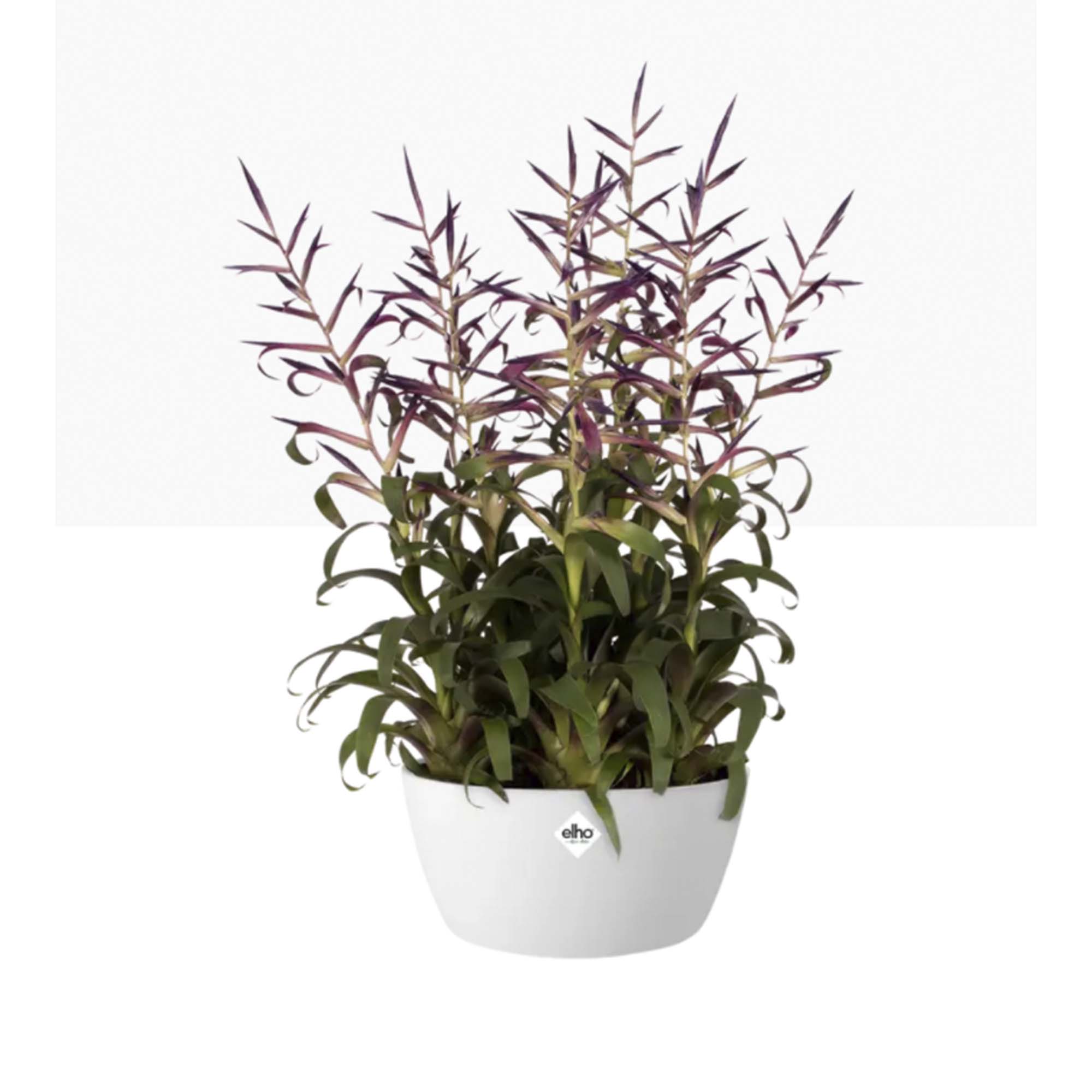 26a54e28d2f0194adefa21585ca64ee3