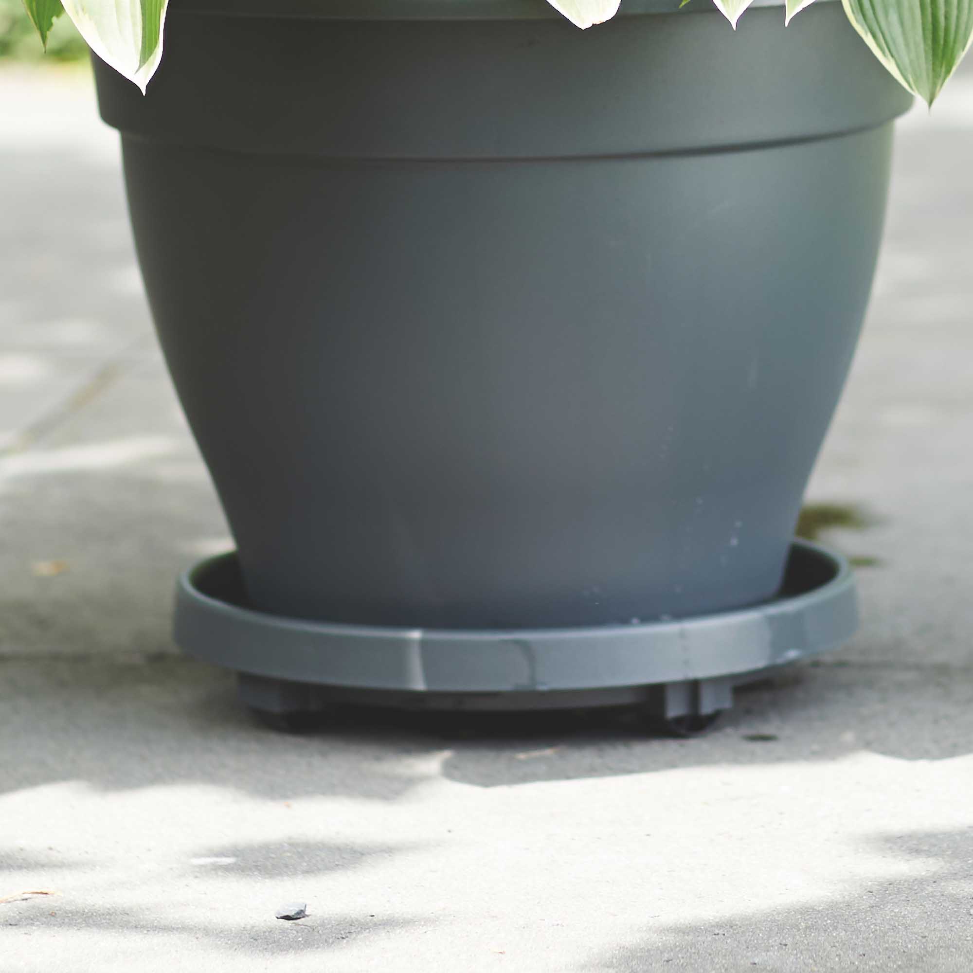 8711904314019_1.jpg 913a35517d3dc8f895604cddfe9cf7bd