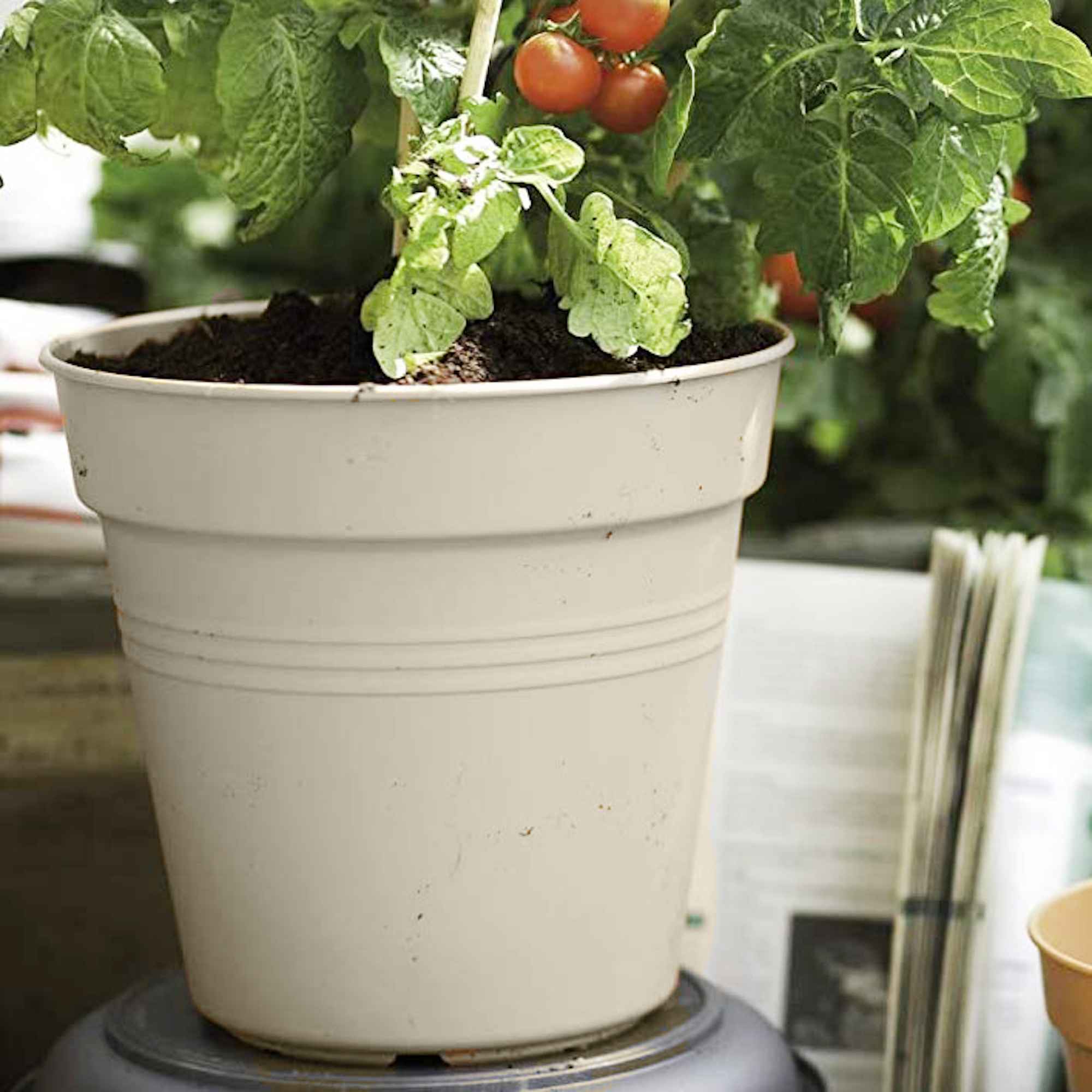 8711904314354_2.jpg 877e5188f2d385e3ba68feffdbad3217