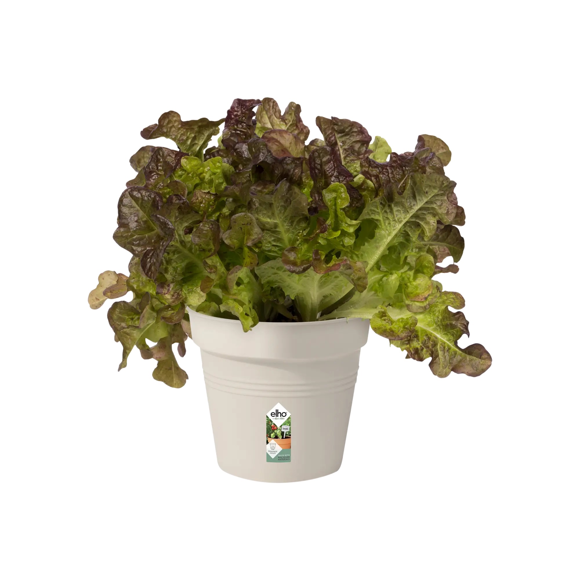 8711904314354_3.jpg 59ad3b81d6c0fc6968447d495a42934e