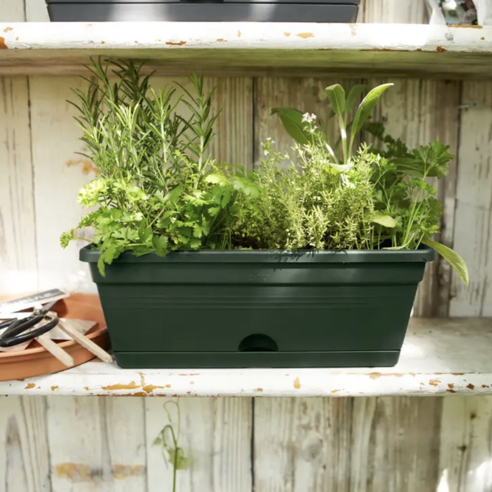 Screenshot cbe8219818e35ad50809a0edacf8bec1