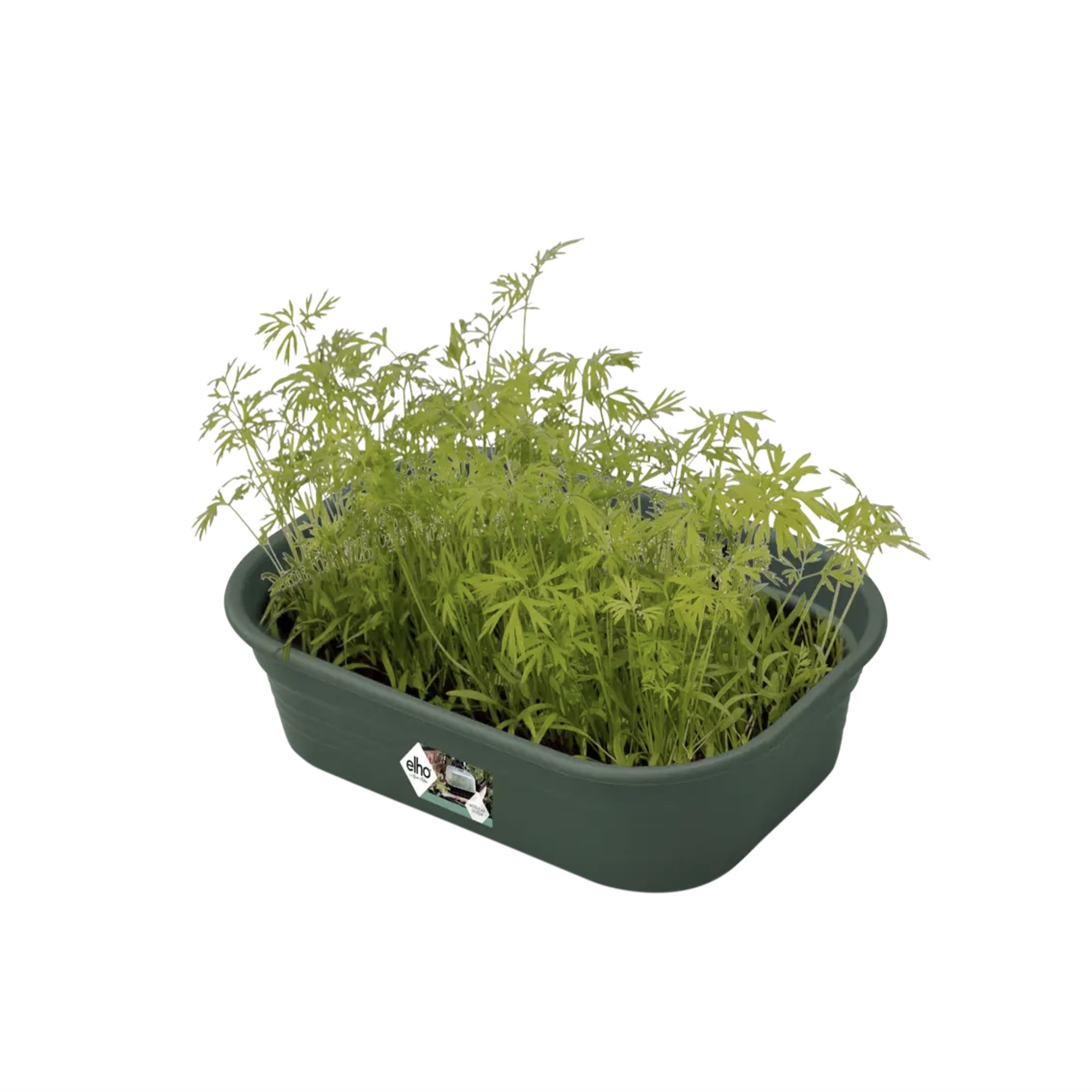 8f0a90256ea6548639100fa4fa7b6e59