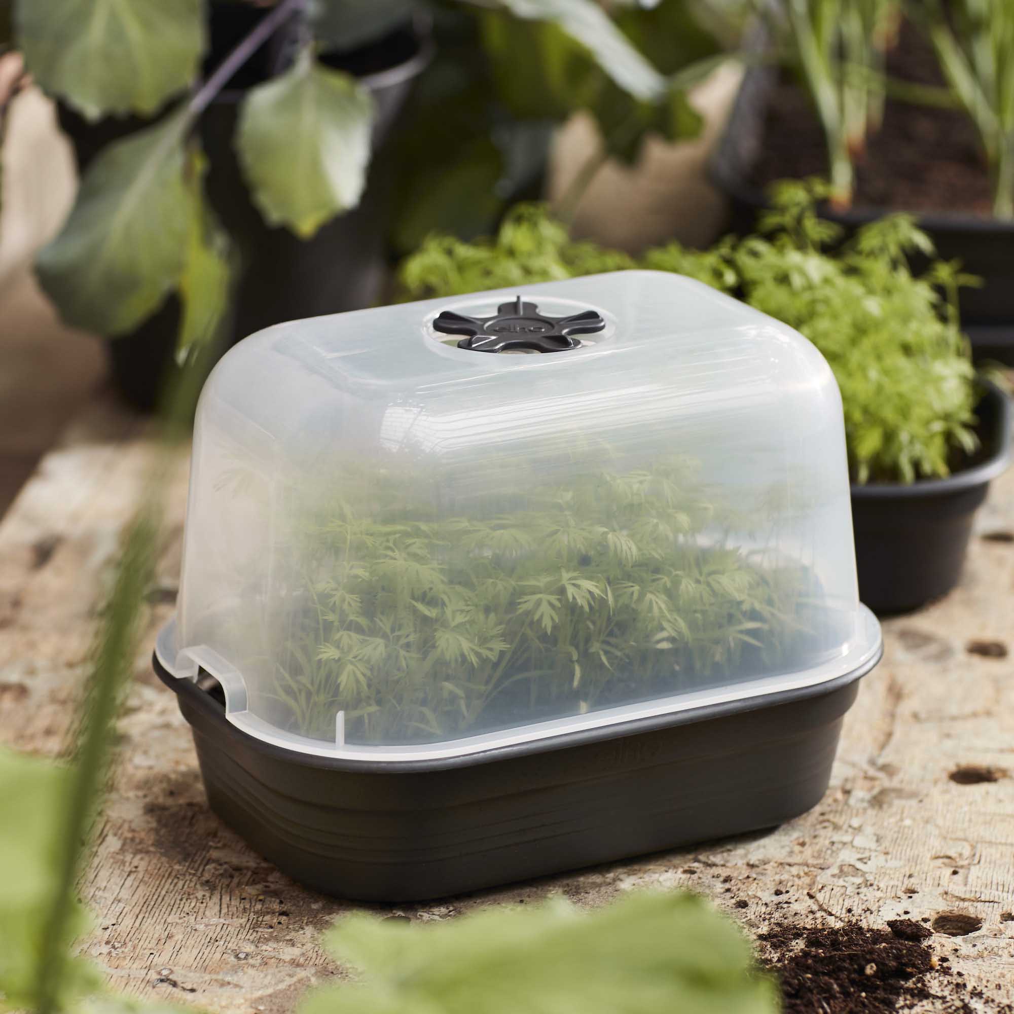 b5a77e4ee432645bc0c24bcbb7f9d9e4