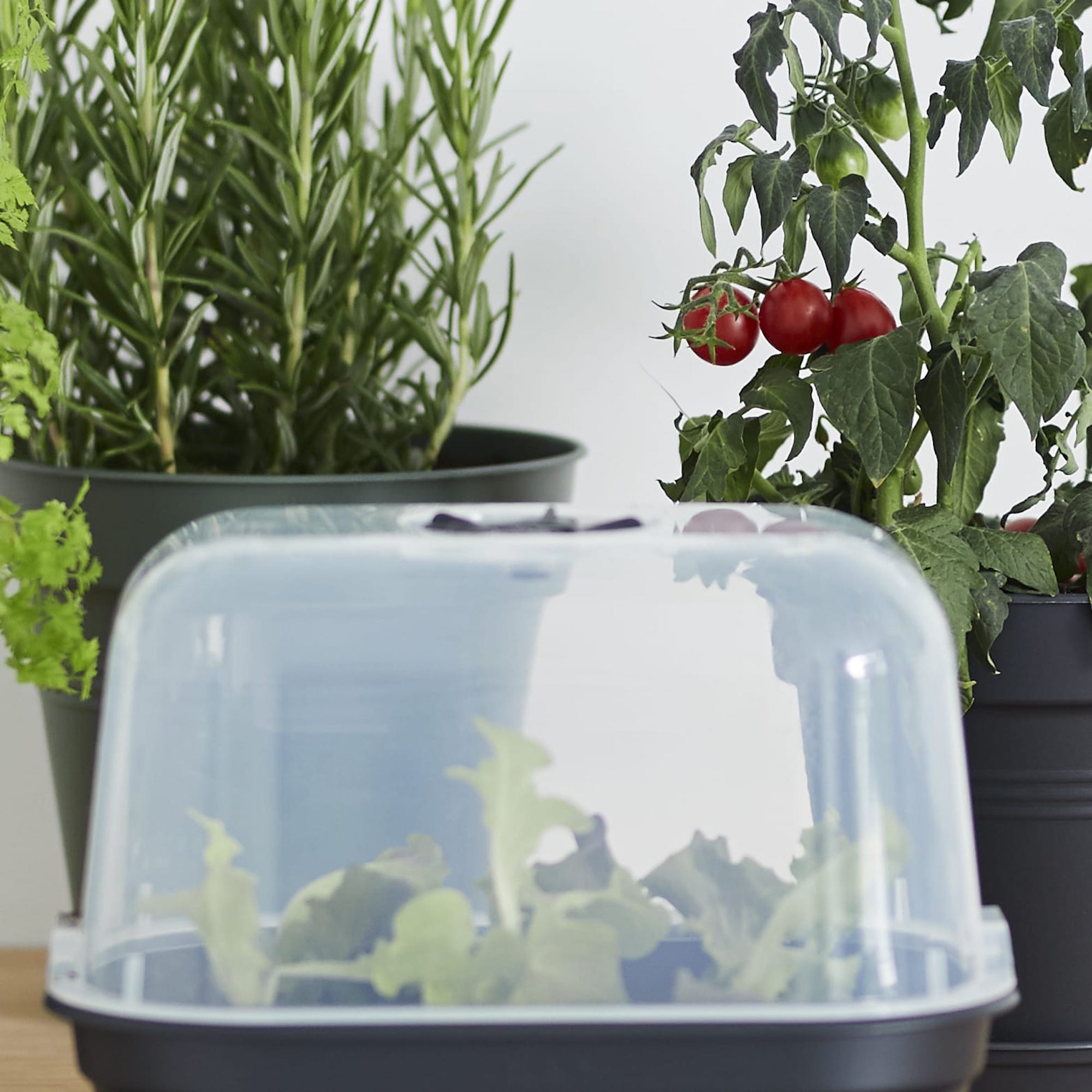 c01f22628b73ec436ff276c935359746