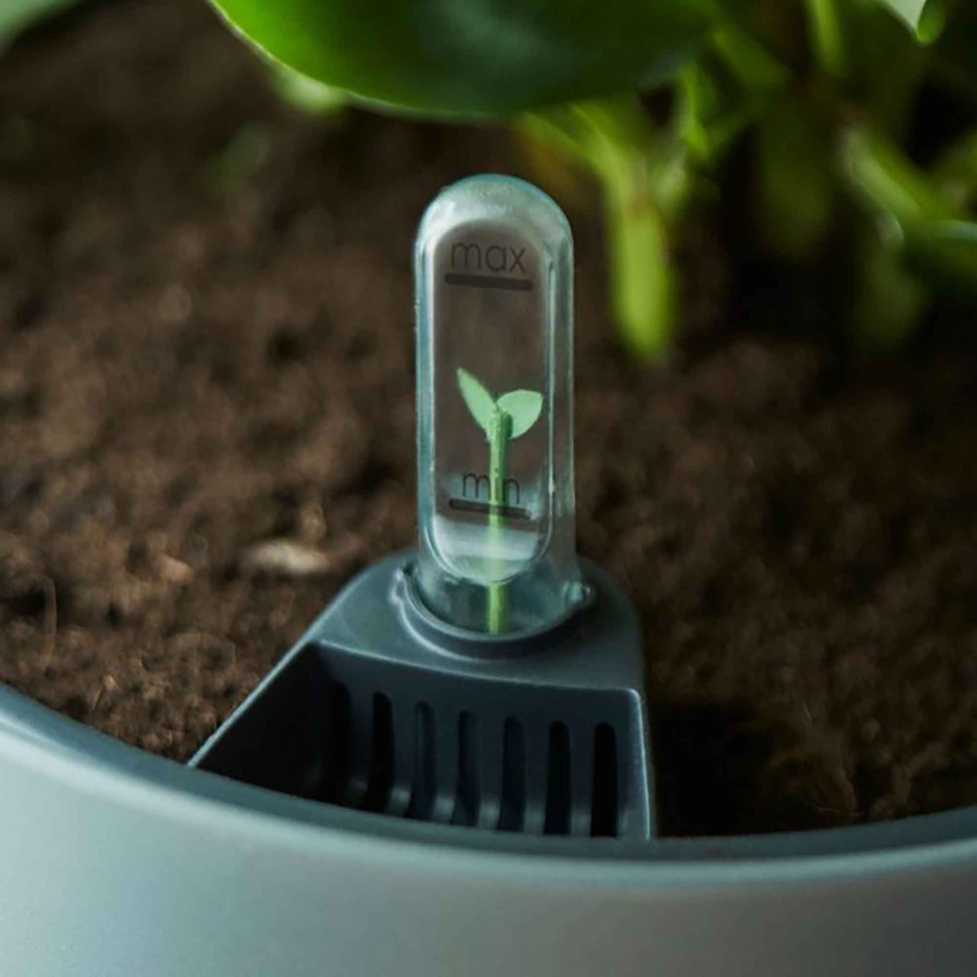 d2afaac0b50a5a6df08ca6d7c38bde97