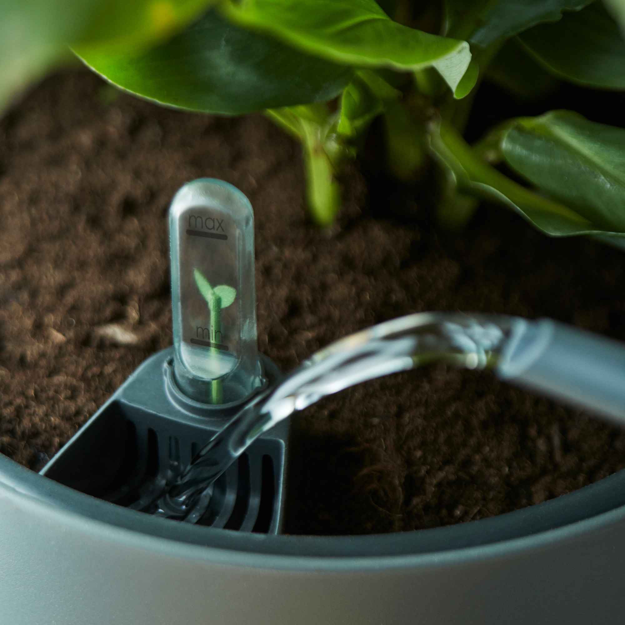 8711904331603_1.jpg 8cd60fd03ebdfd72a7e726ef68c3b9c1