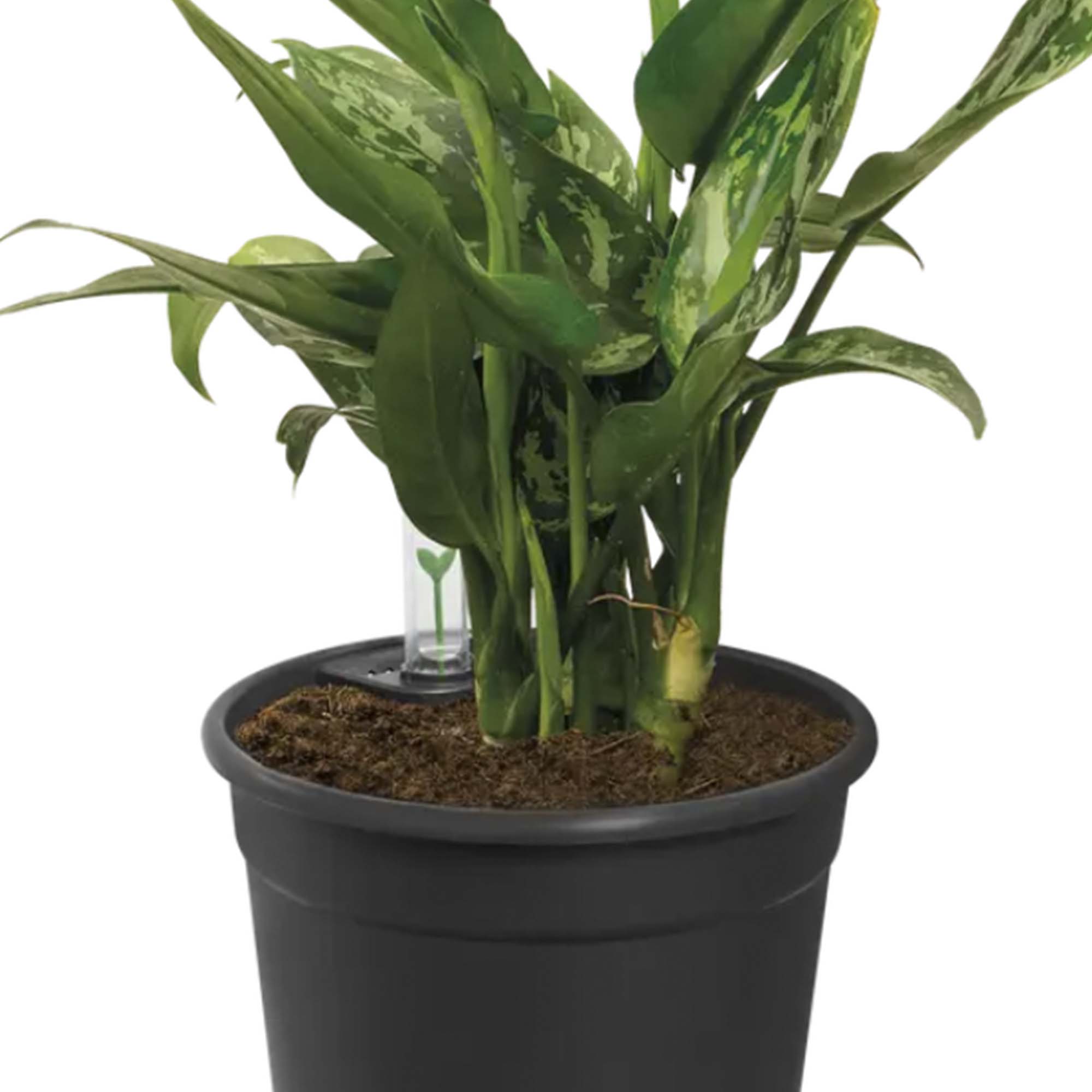 8711904331603_4.jpg 15a6d3f3d46c49131c6258b5e67a3d0f