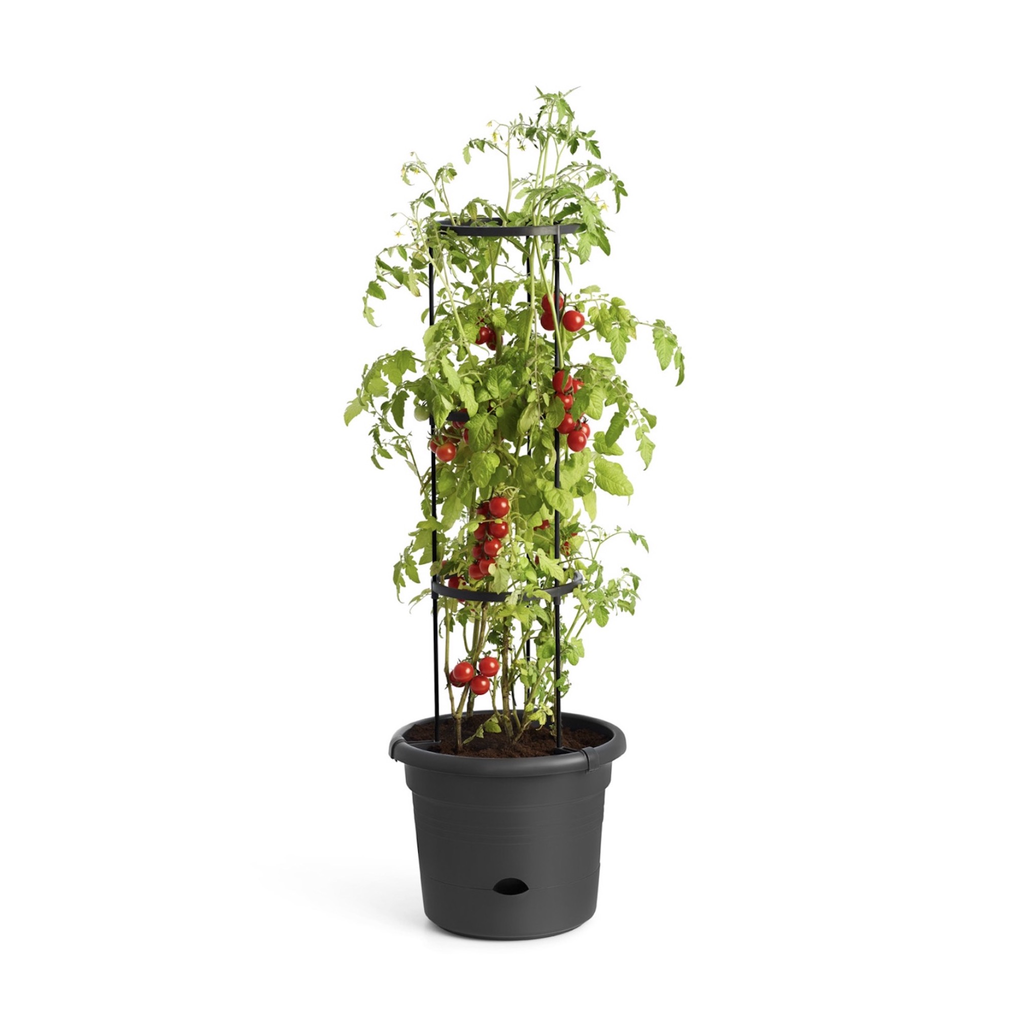 Ghiveci special pentru cresterea rosiilor Green Basics Tomato Pot cu diametrul de 33cm, farfurie integrata si suport pe nivele pentru legarea rosiilor, din plastic reciclat, culoarea neagra