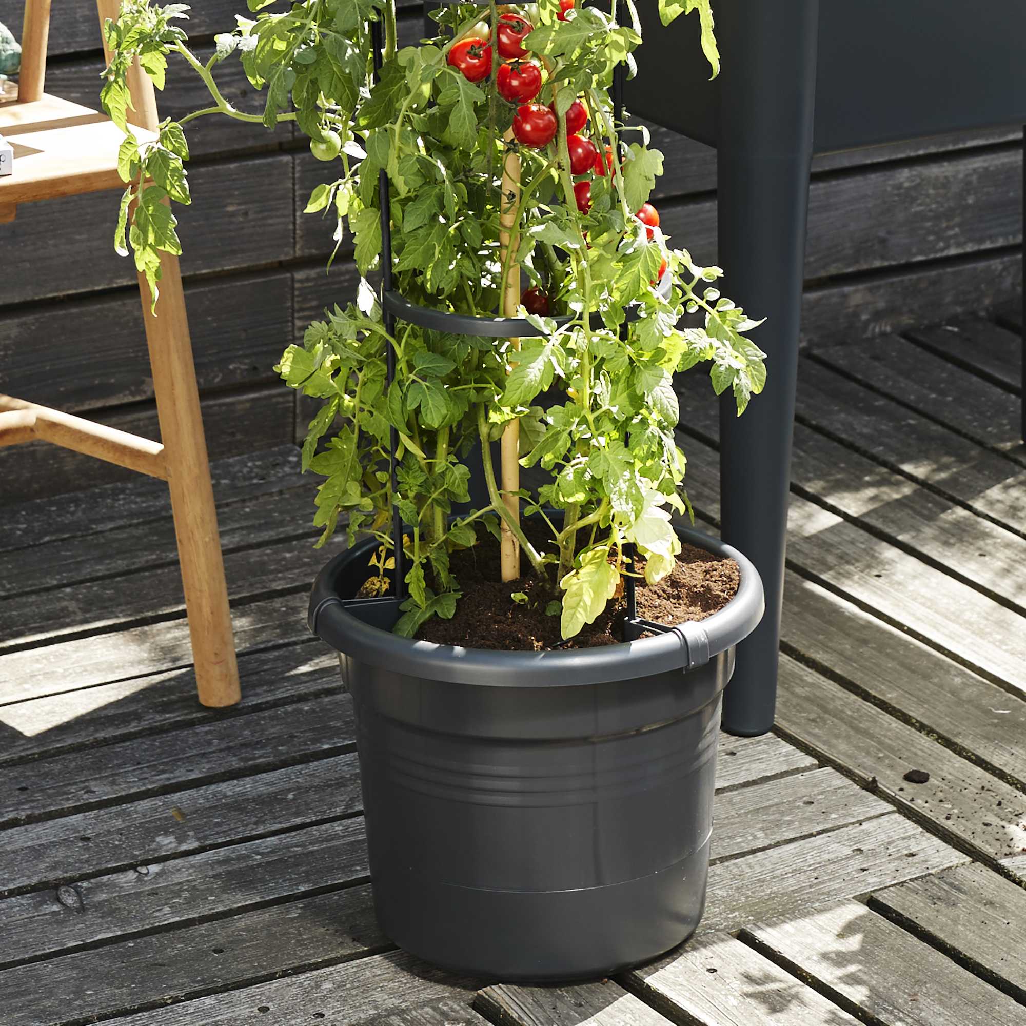 8711904331634_3.jpg 69b441861d86fca22b1bc4dfa08edf58