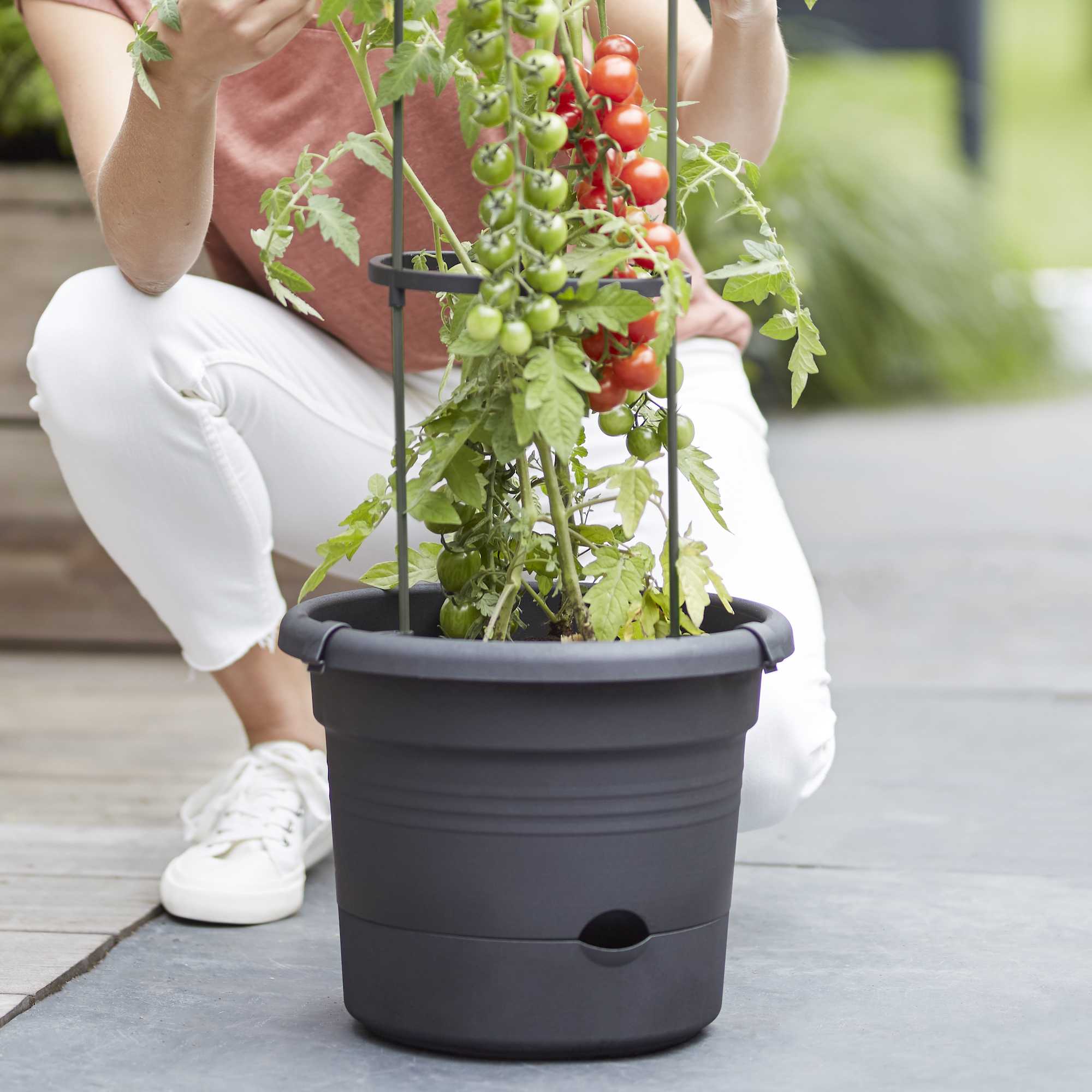 8711904331634_4.jpg 33ff9db6154c46d0788ff85c3b93b632