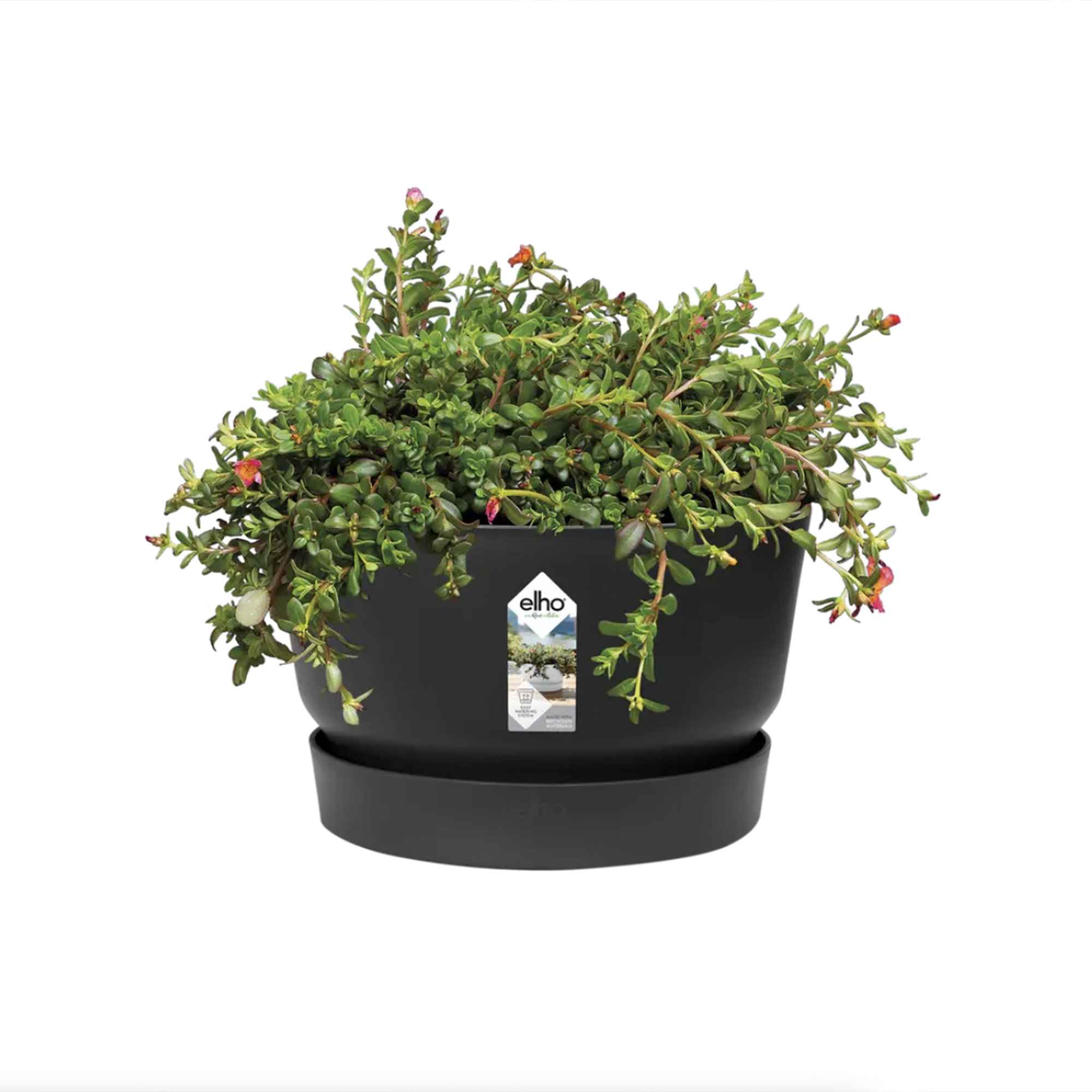 Screenshot f9d4b28f47dd0850635282fc8ebaf7fb