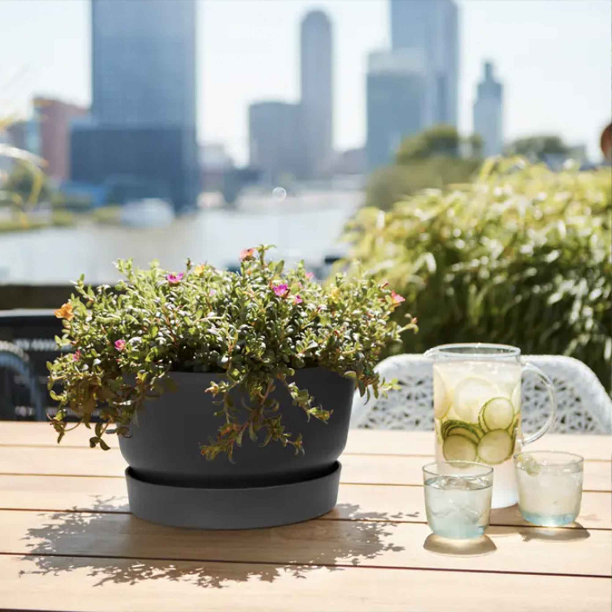 Screenshot 6470c565643e7dff4e6c52f2571dcfe3