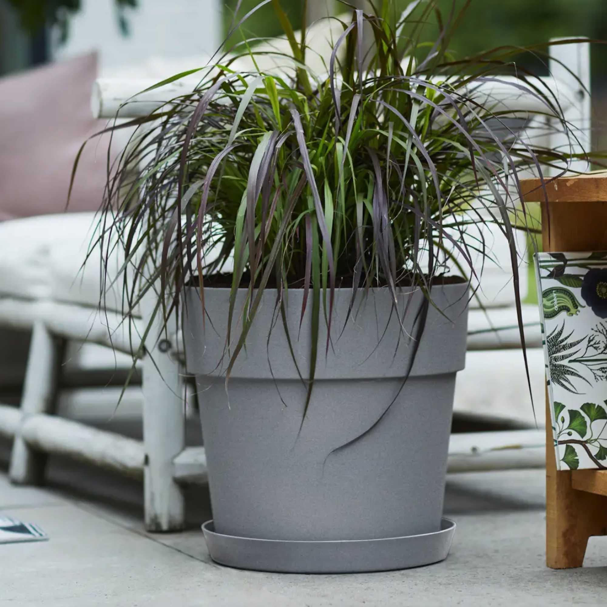 8711904332495_4.jpg ffb6a5c894eb63e172f202540b501bca