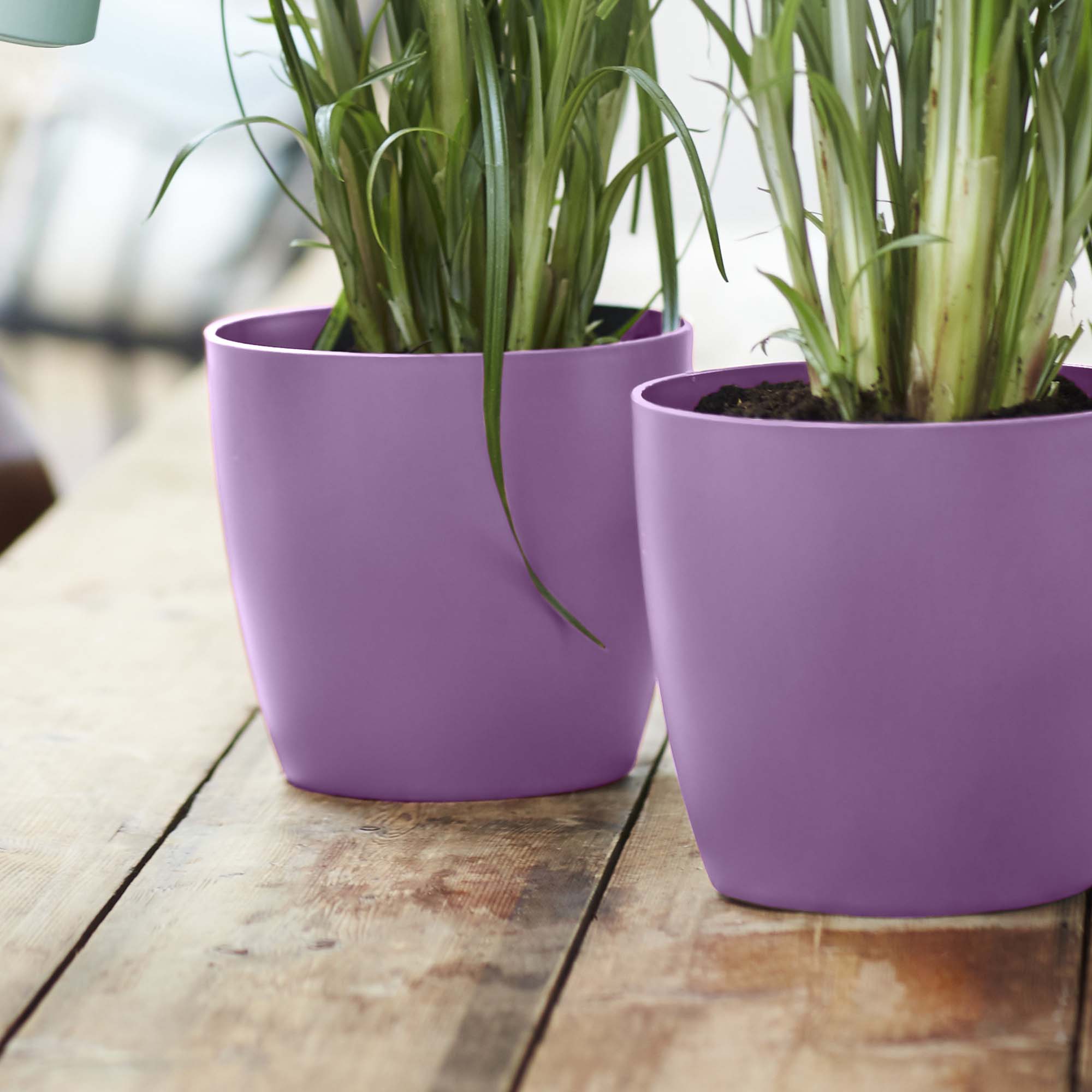 8711904332945_3.jpg 6a867d0be7200c106952f2f2815b66e5