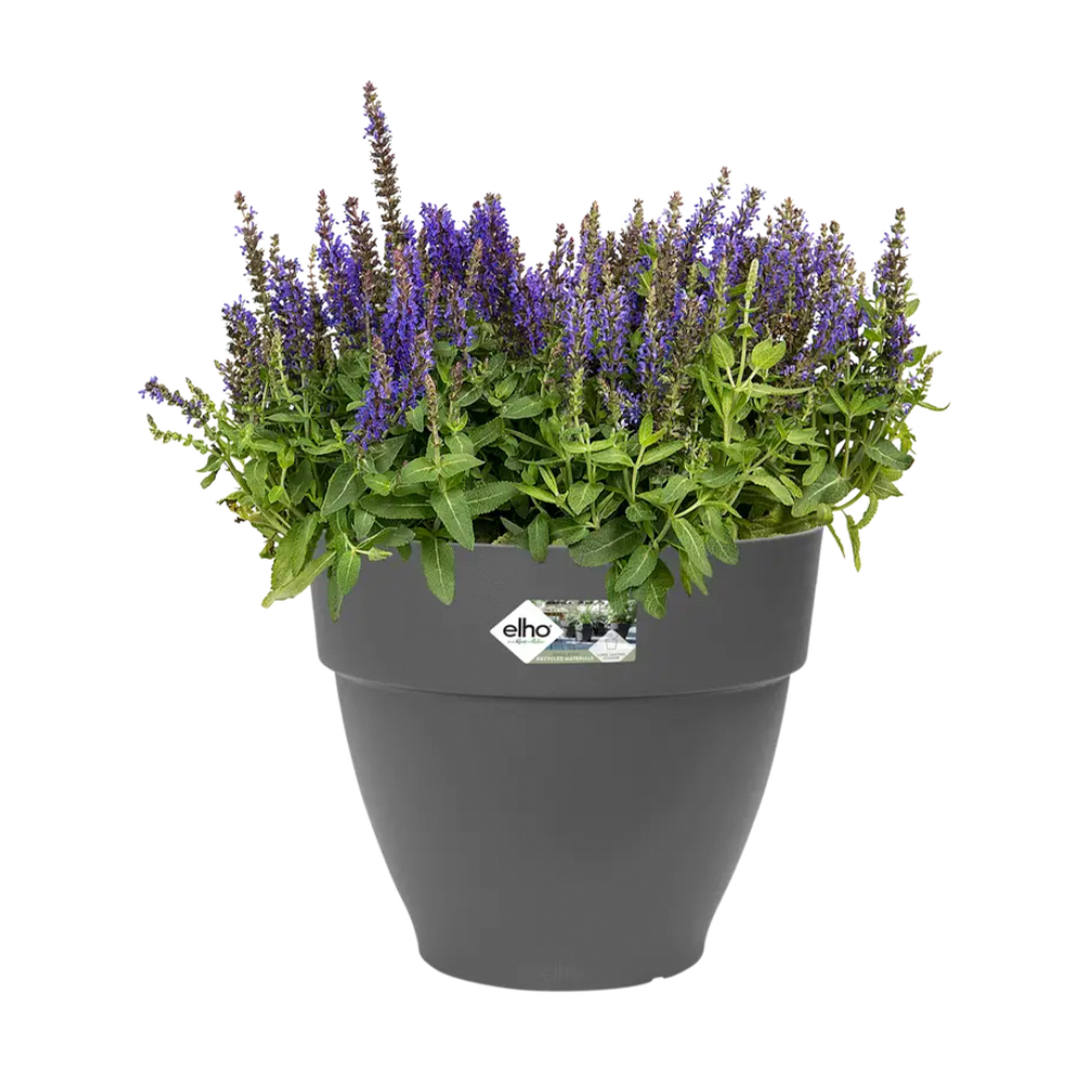 8711904333171_1.jpg 2f4149f7f2cabe8a8339c312ec1c2008