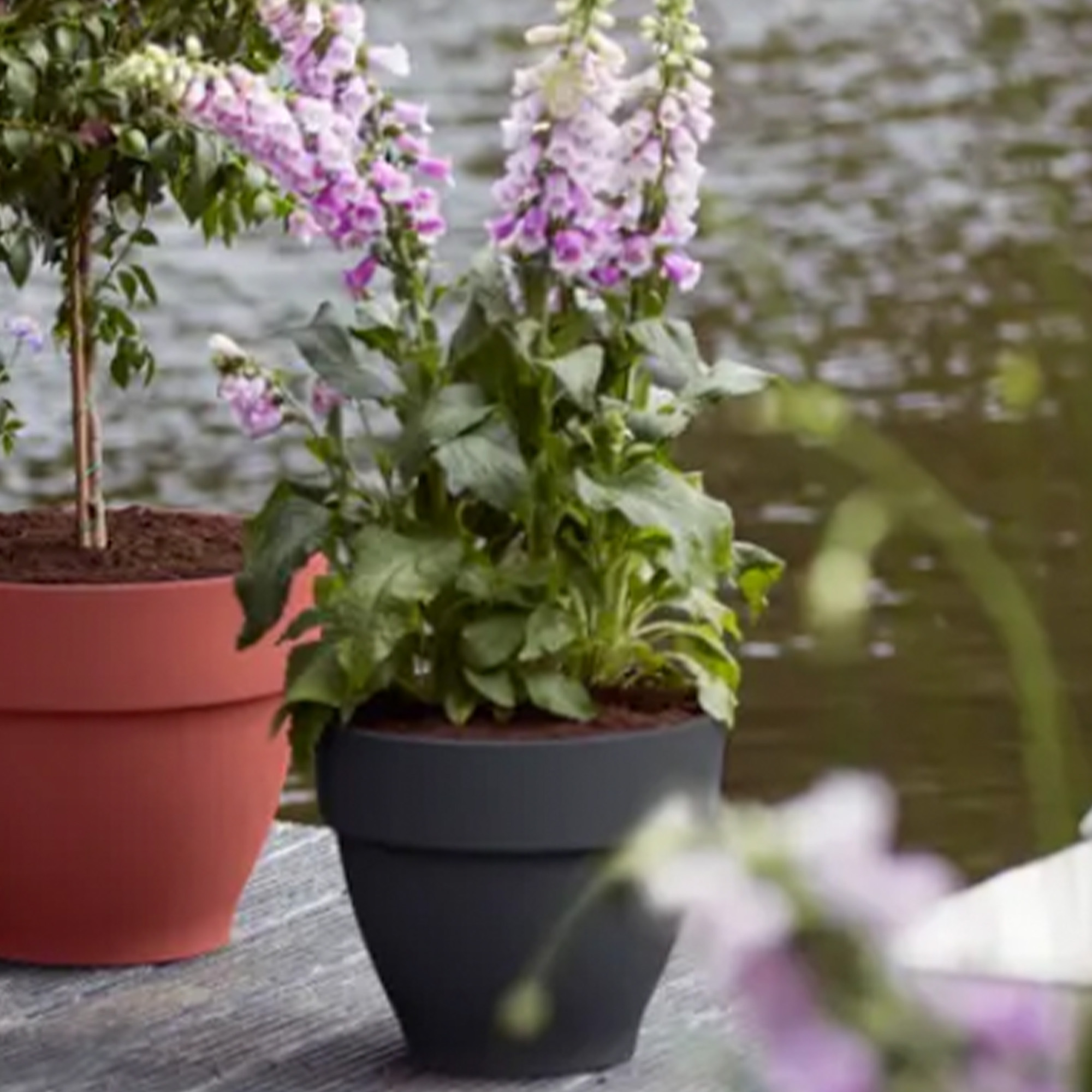 8711904333171_2.jpg 693efd3c13393e8fc9cb2bd8b02cedbb