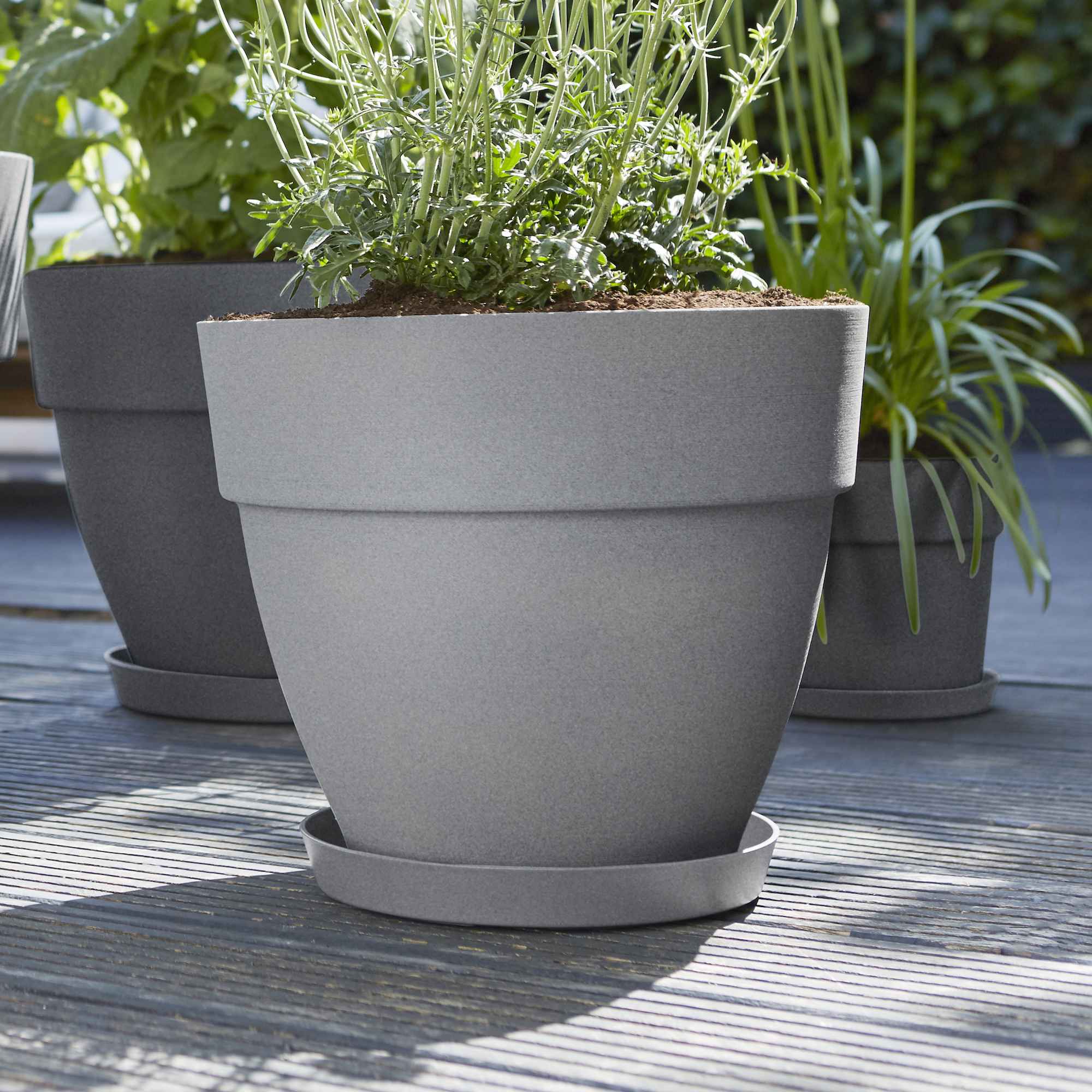 8711904337100_2.jpg 71a20ed0cd65fb7e48e8d63bbc205c18