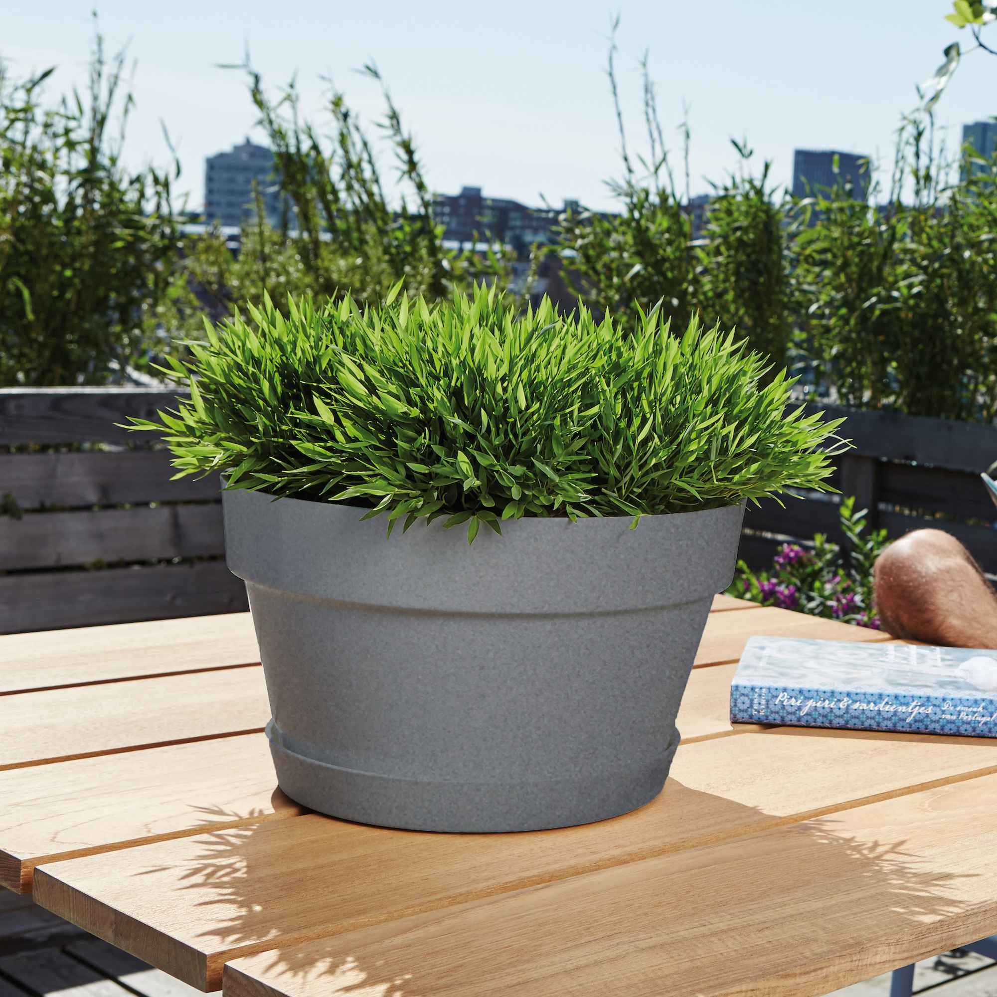 8711904337100_3.jpg 21b40f0ad1c7623d372859c5e5544dce