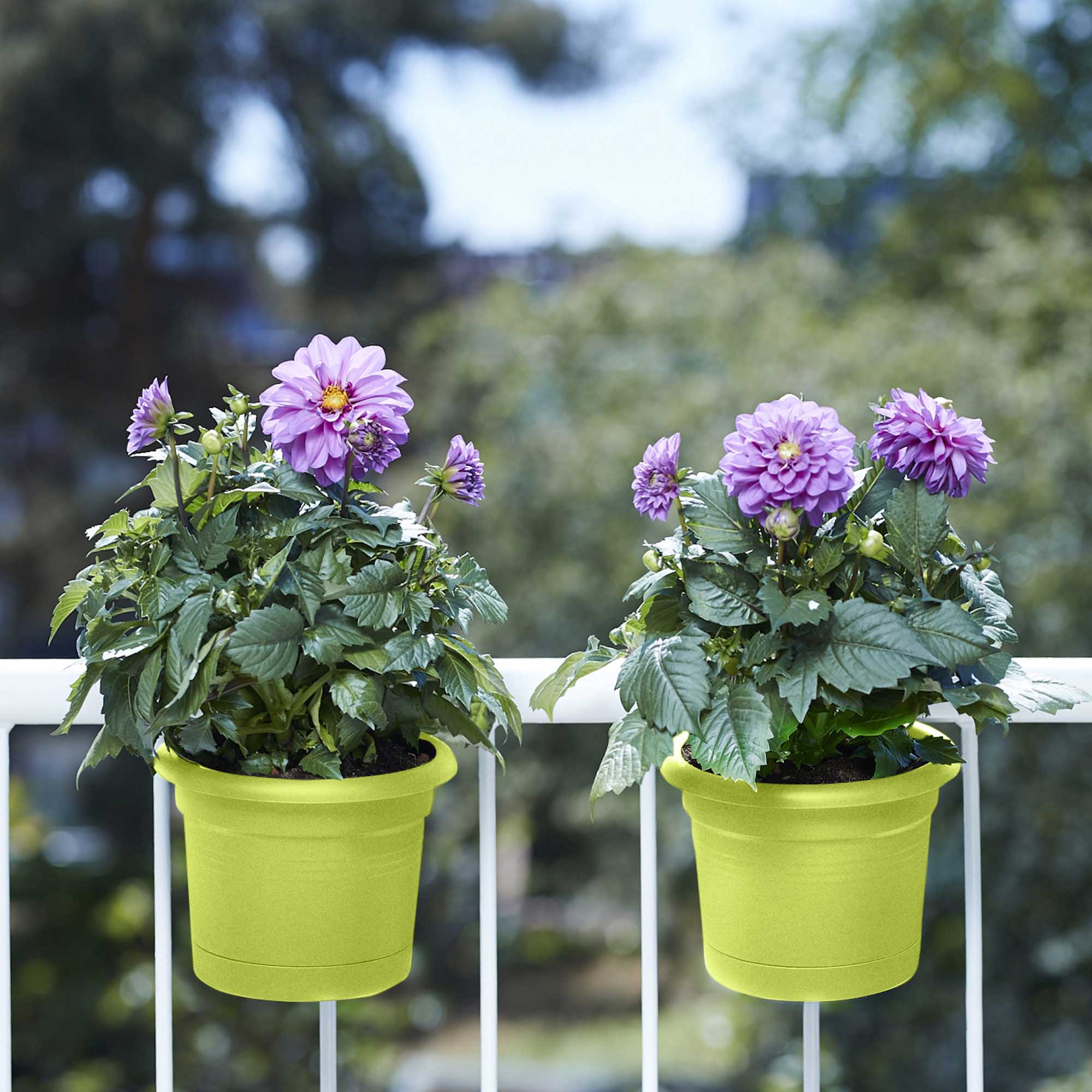 85cfc422e4655d41b7016c632170d452