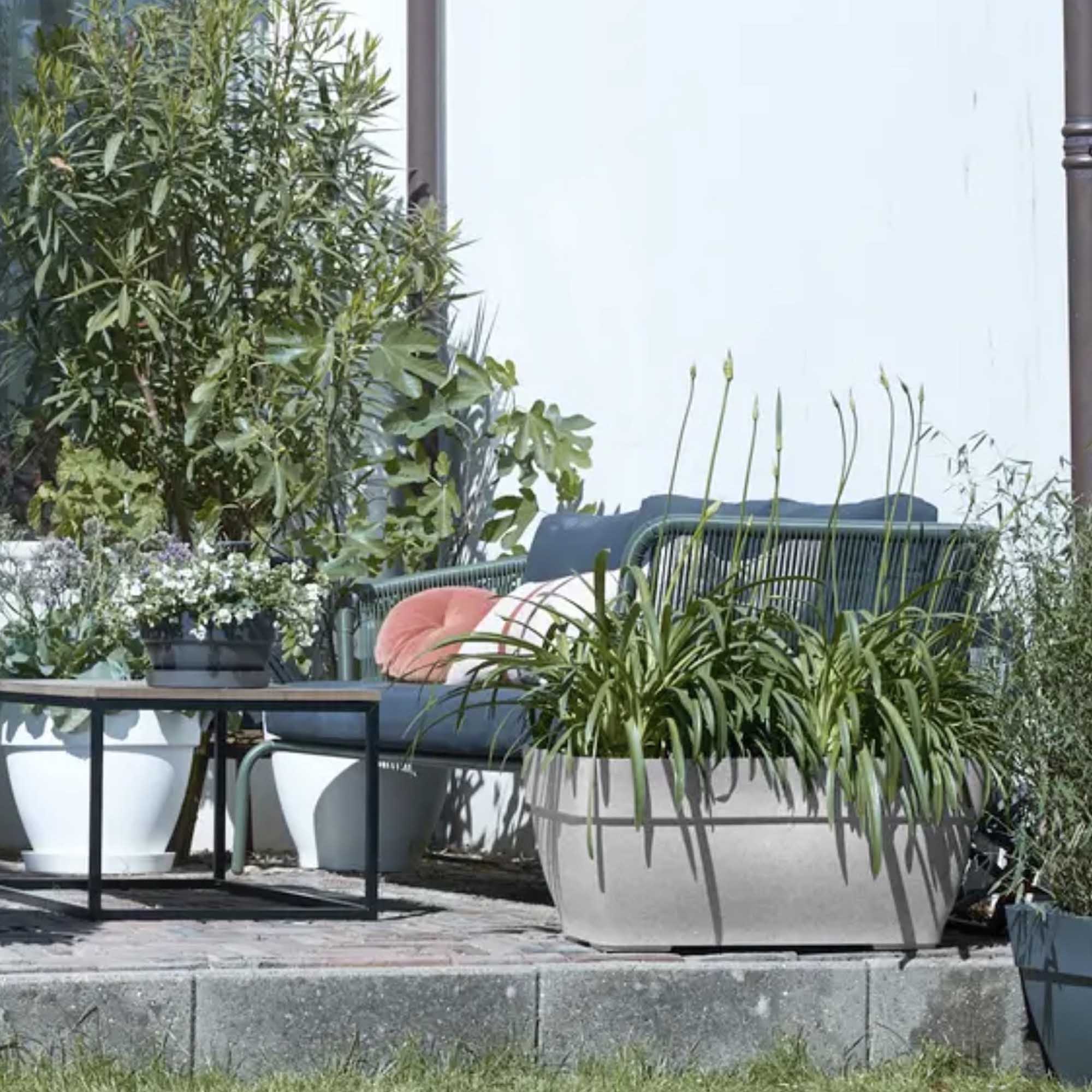 Screenshot 4291102ad1f1fe56174a800e35efb364