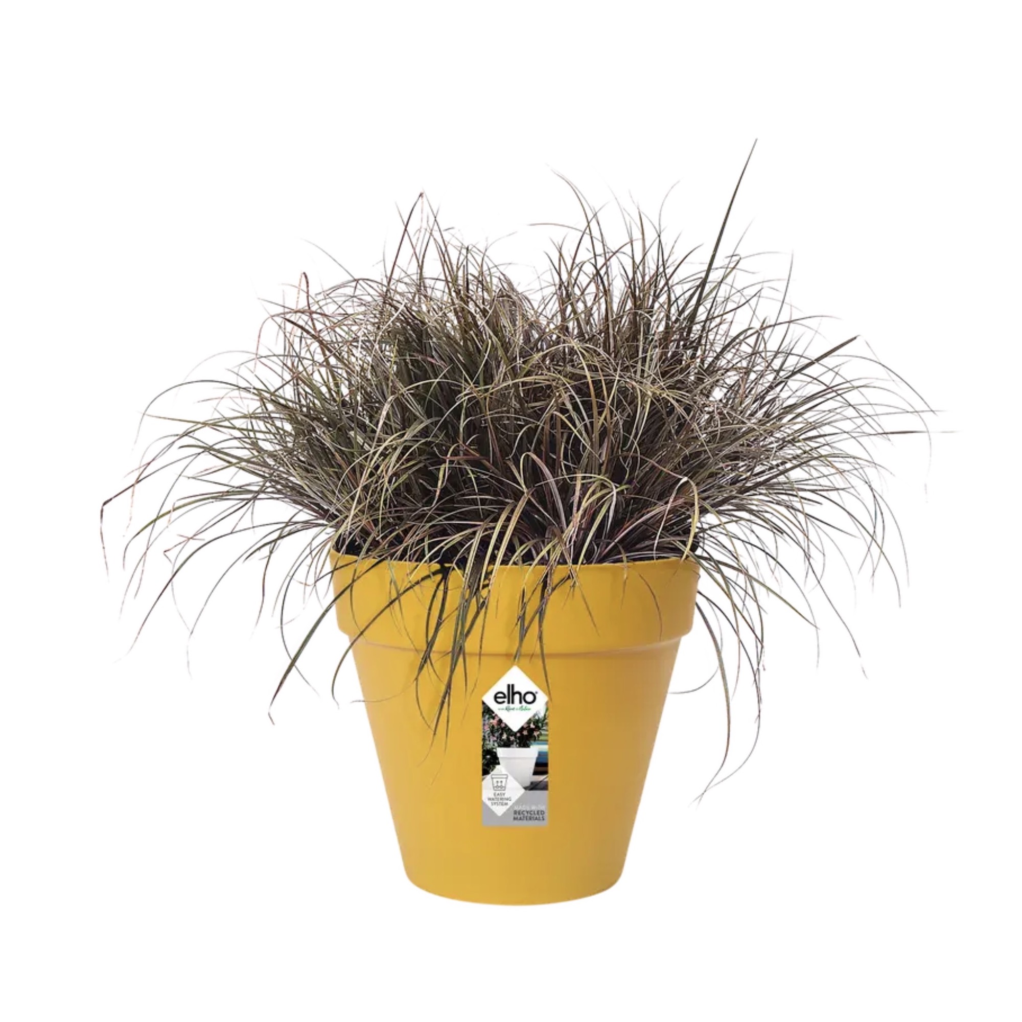 Screenshot 9ff611250292686ab3873abf40295d77