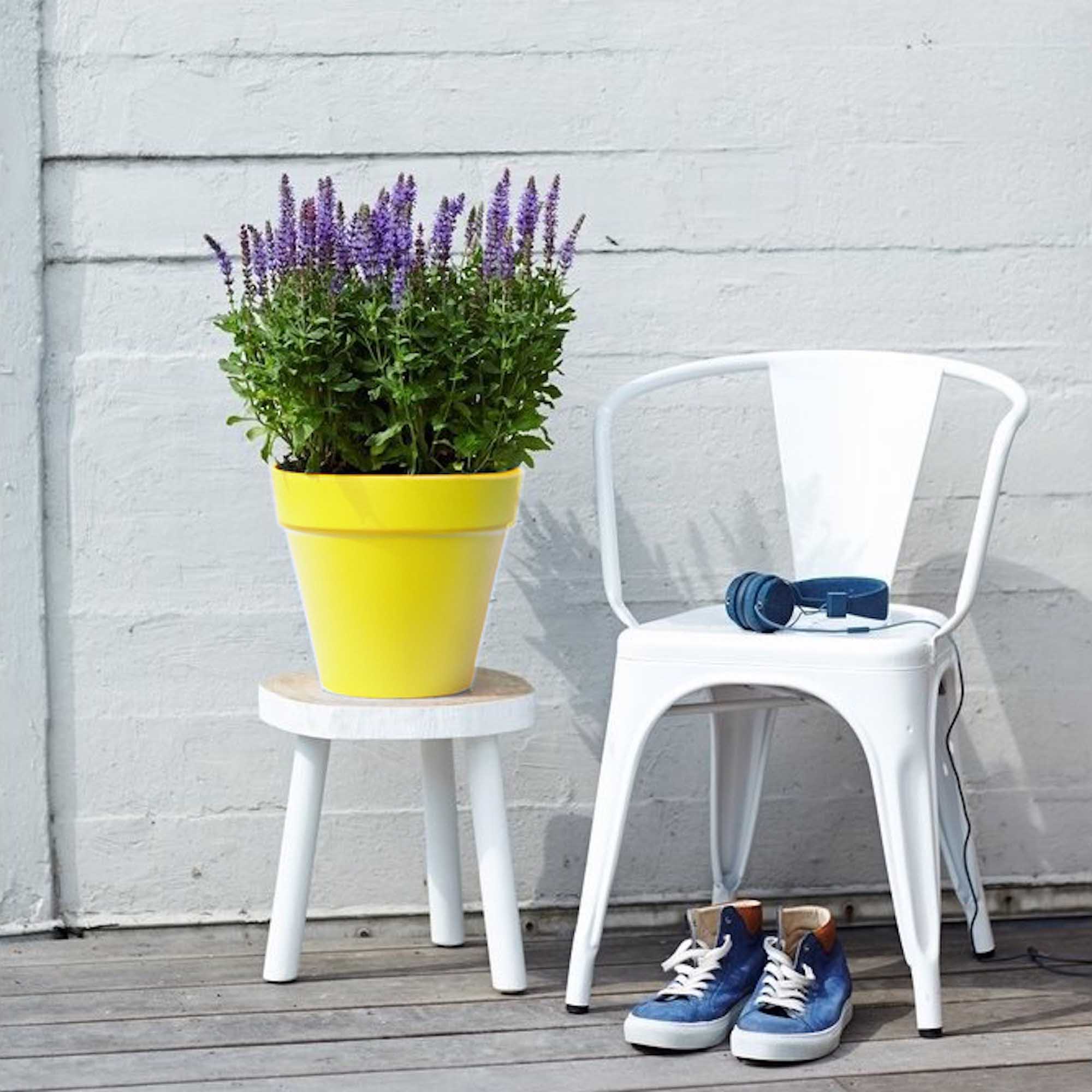 8711904348564_3.jpg 90456e9fca9f02f9ff683d42c42dc9b6