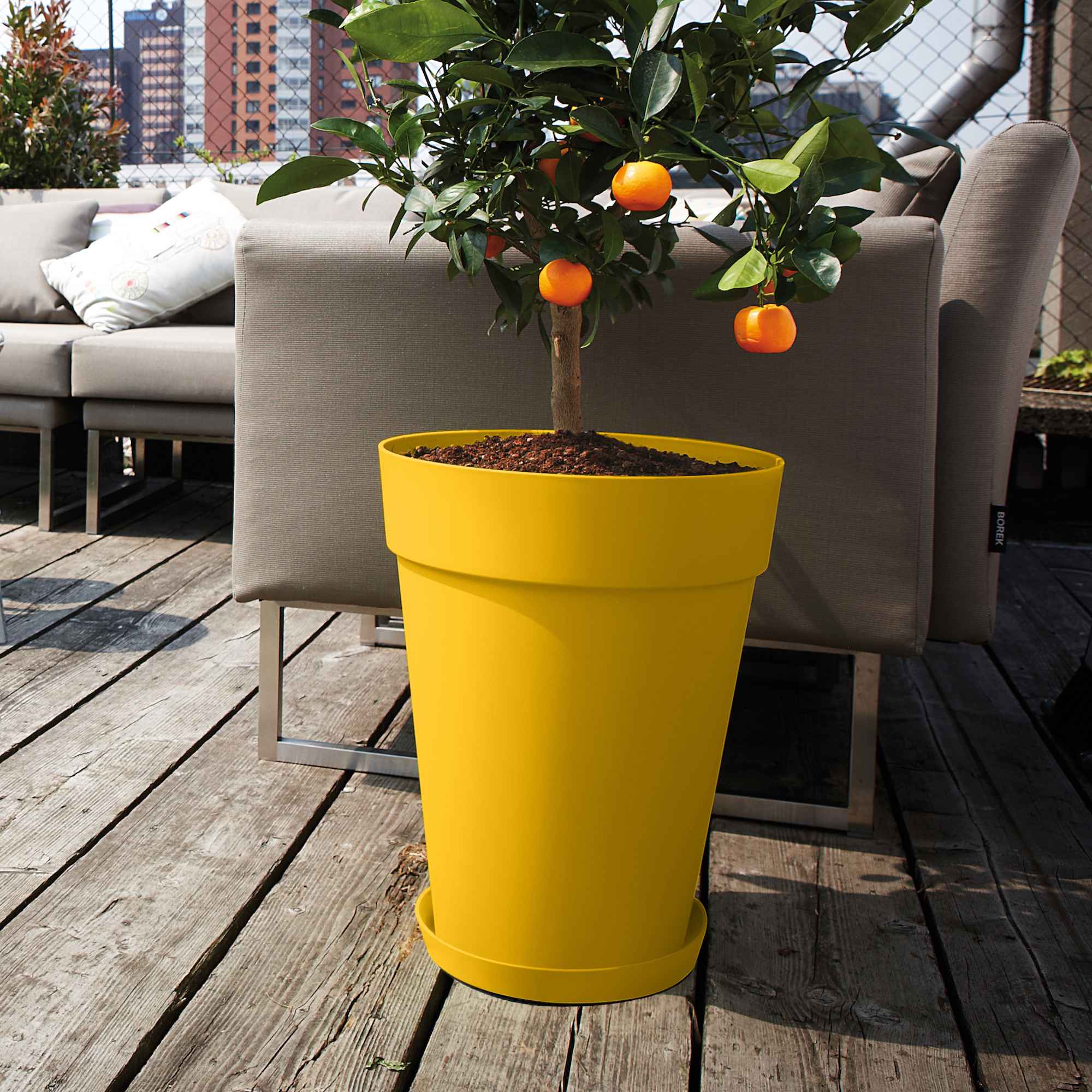 8711904348656_3.jpg 441e719c9a9f234c8b1ef8a3181ae09f