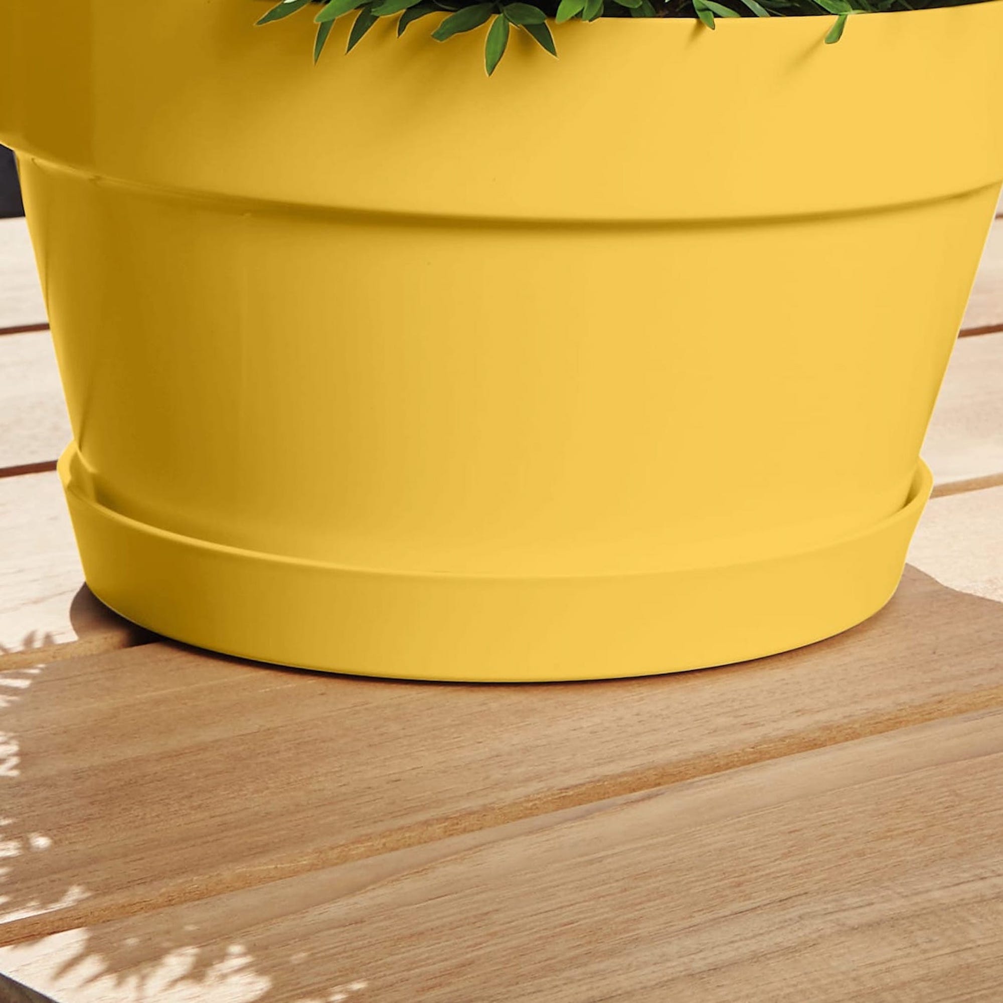 8711904348656_4.jpg 445949039038883522ef289e9a12f455