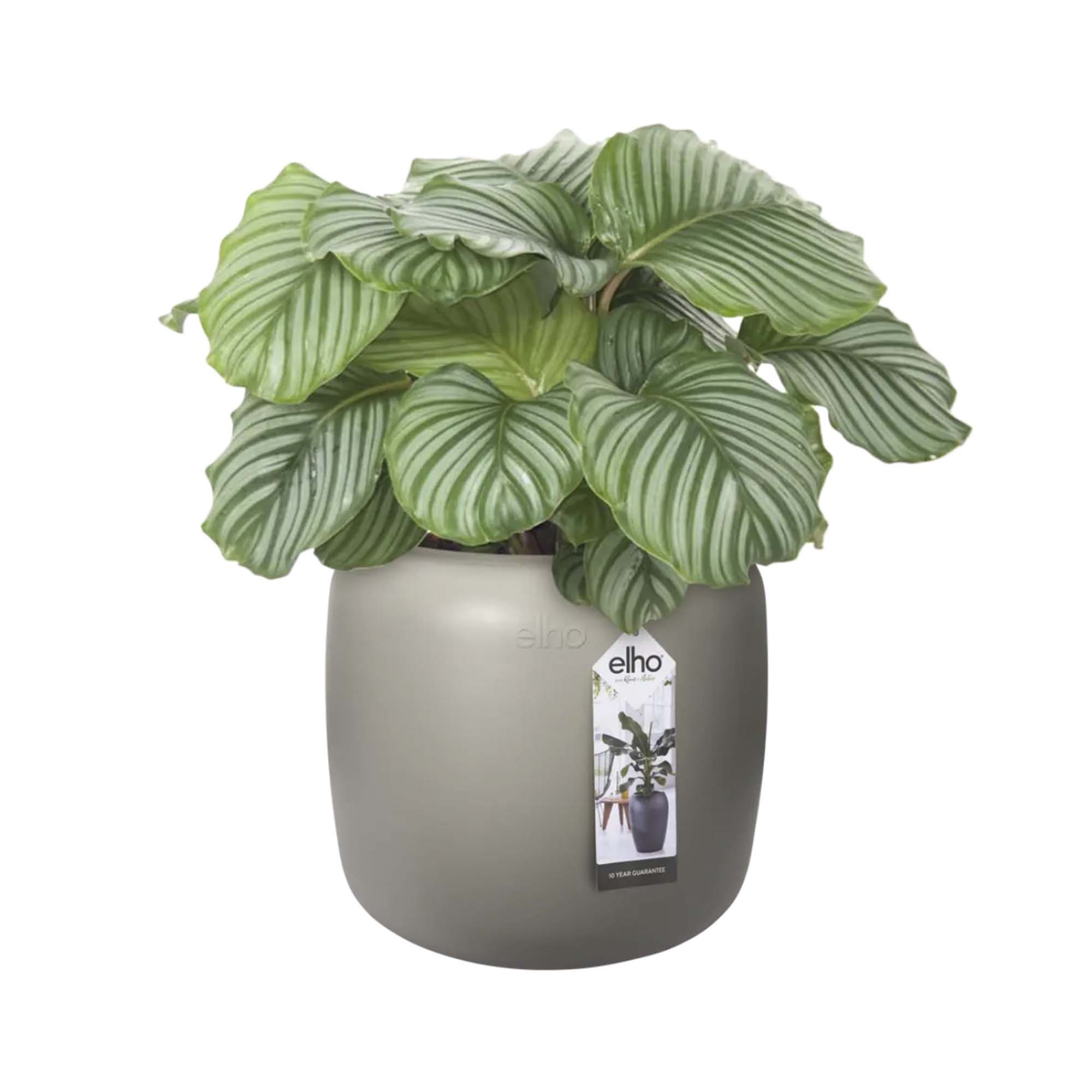 8711904350123_2.jpg 61c5aac936a87b8d13fcf8fa3da2afd0