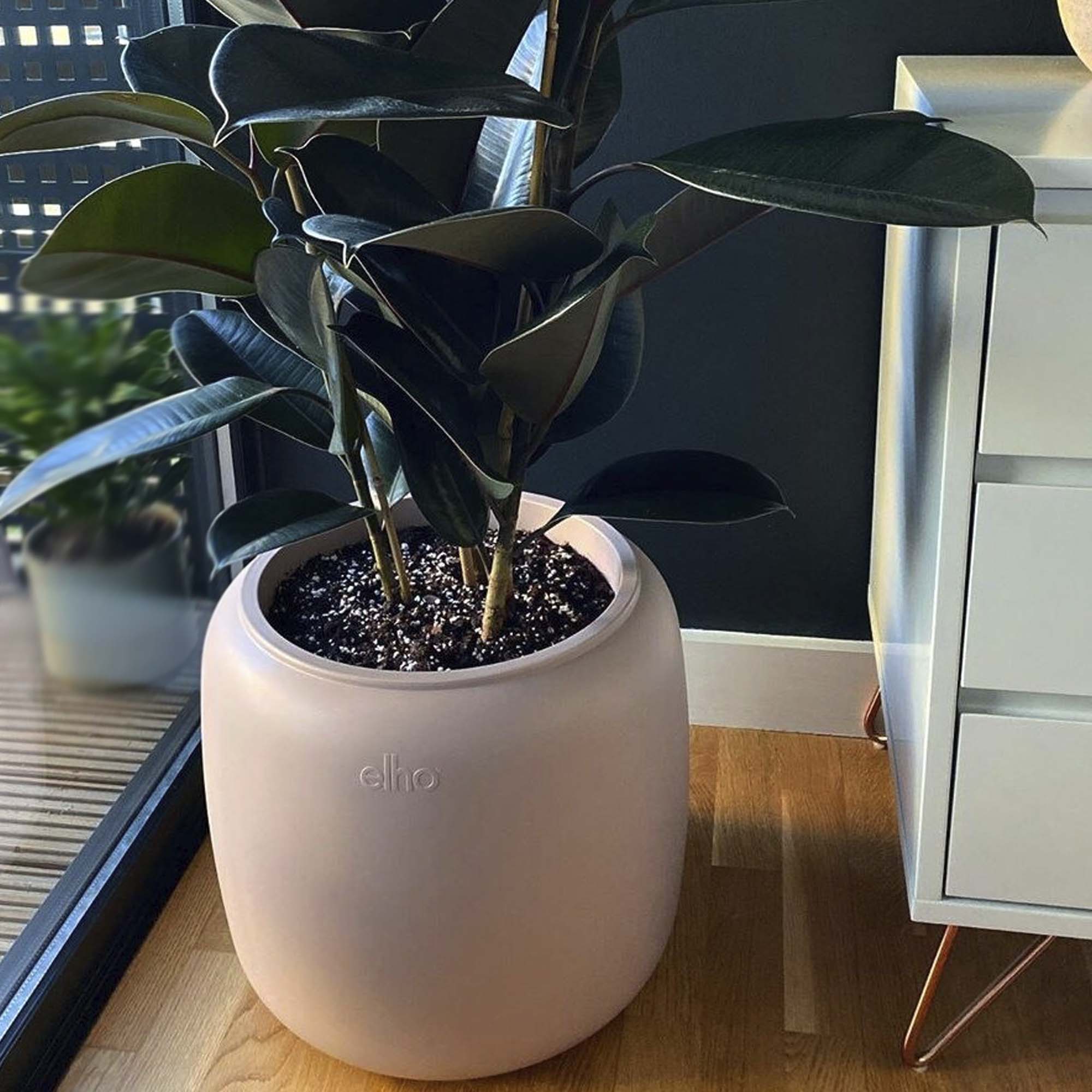 8711904350161_4.jpg e4bed75438c44f3ebcaa73e9eb79b447