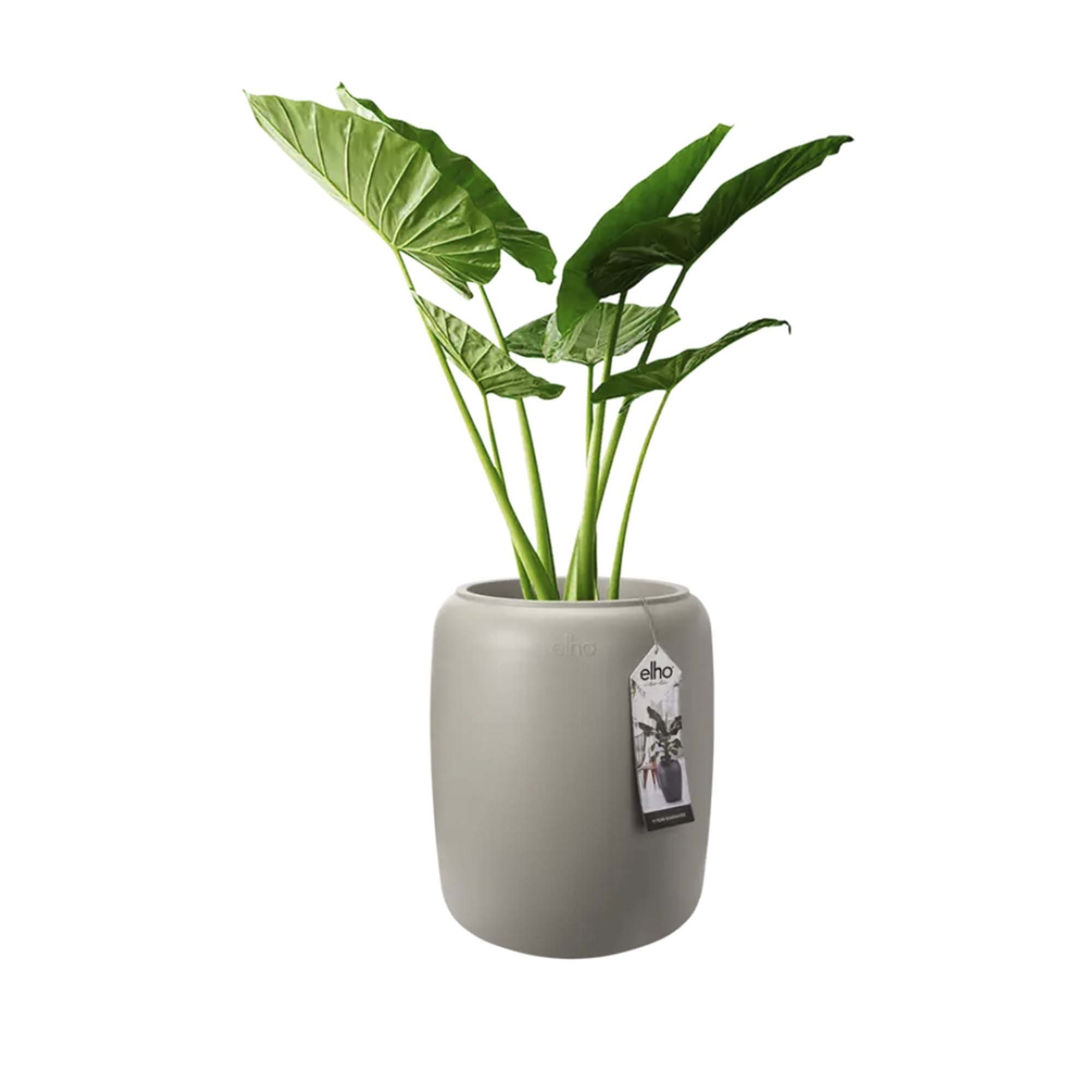 8711904350185_1.jpg df6f5b2dc0586556089b215a942f7326