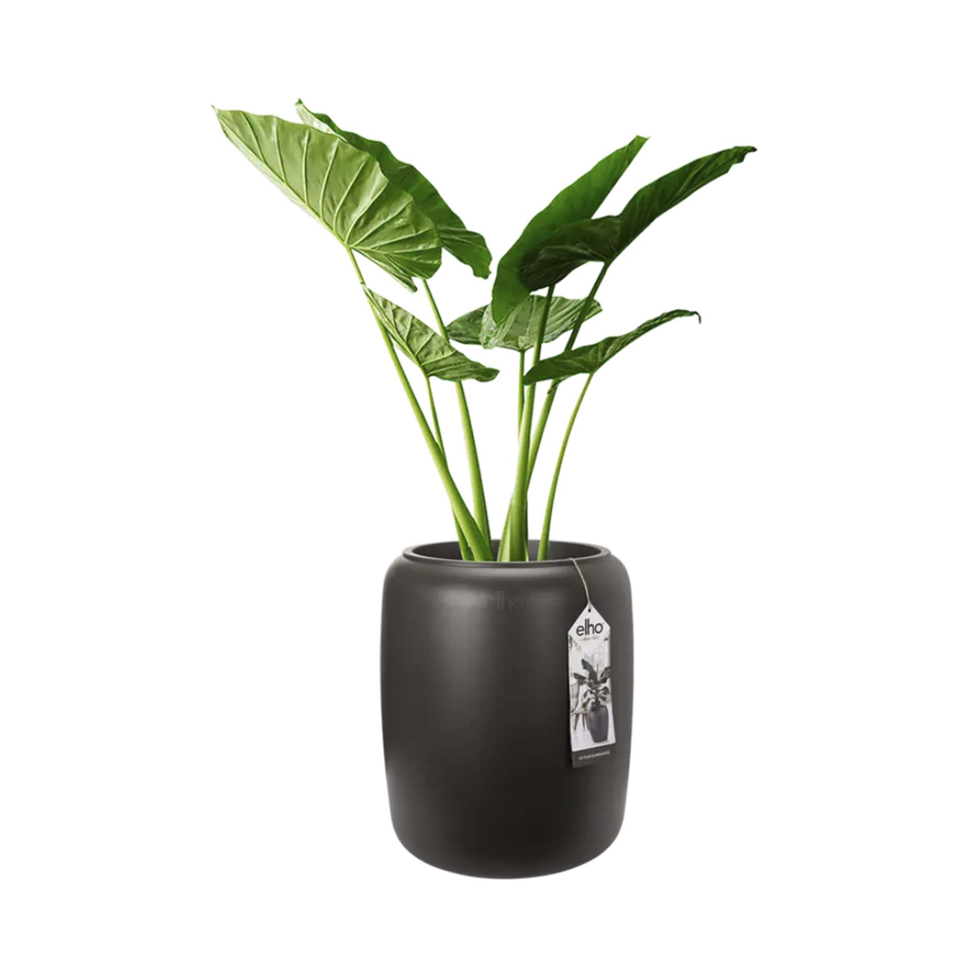 1edfda8f7d4043d89830457ad93bc797