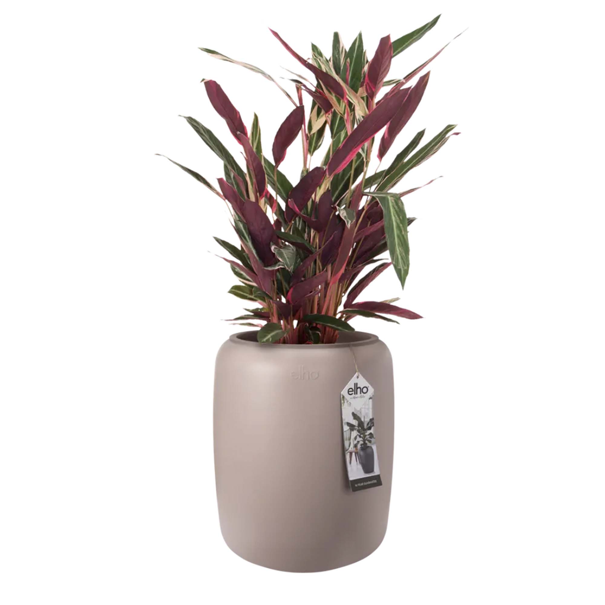 8711904350222_2.jpg 21463c07882f7a89caa1f22ec5eb59d9