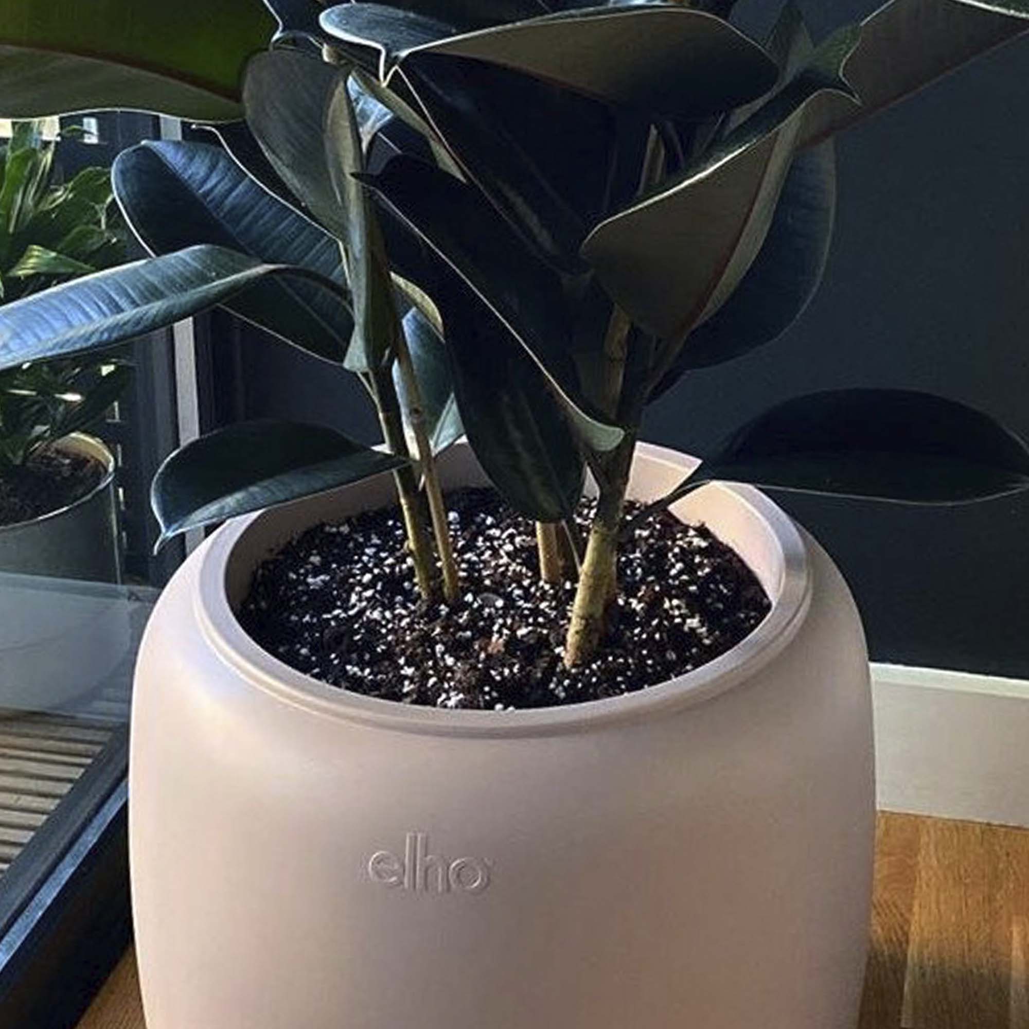 8711904350222_4.jpg 7e042ef33dc6cba73a35fb0c1893e0e7