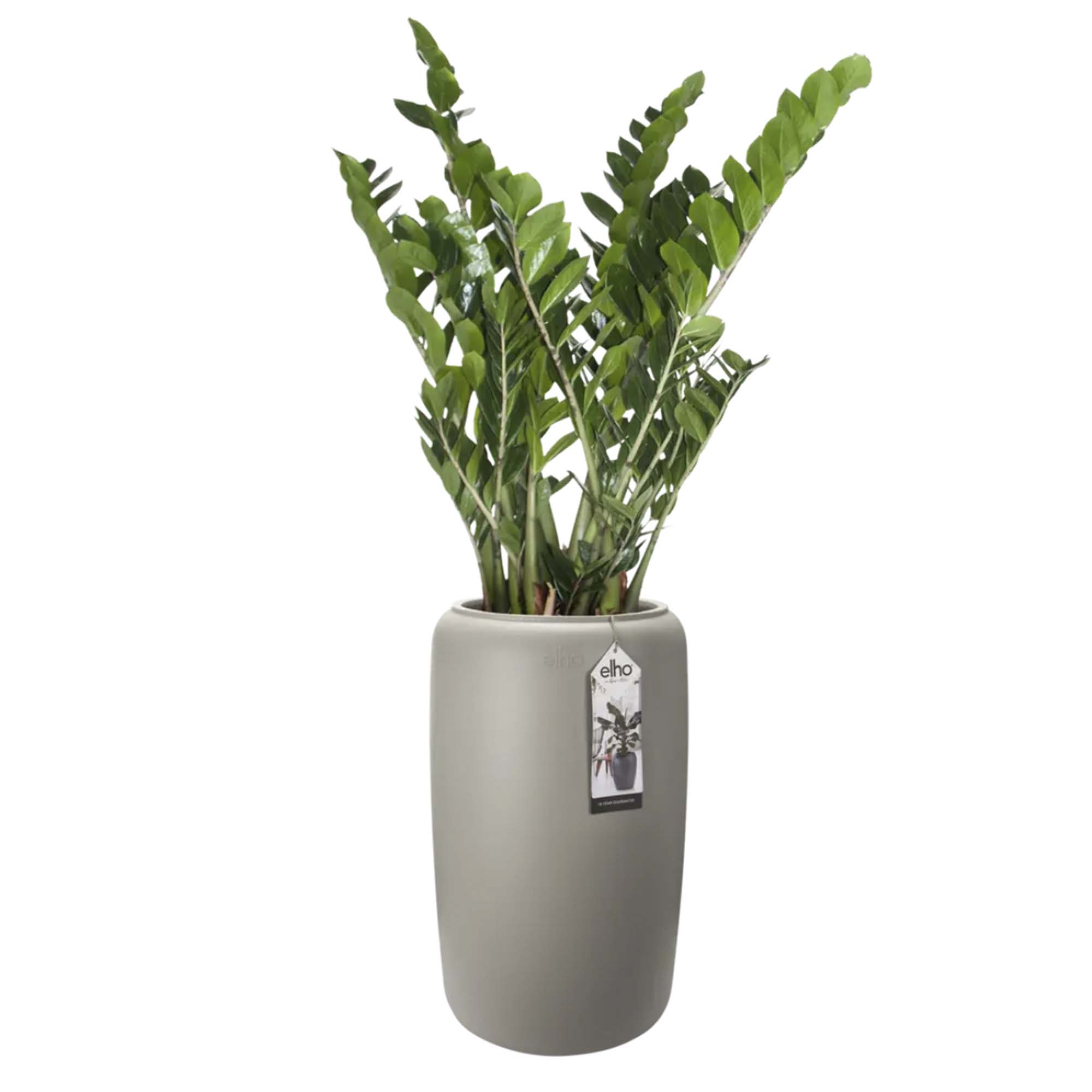 8711904350246_1.jpg d0421f25739384cc85b614710445796a