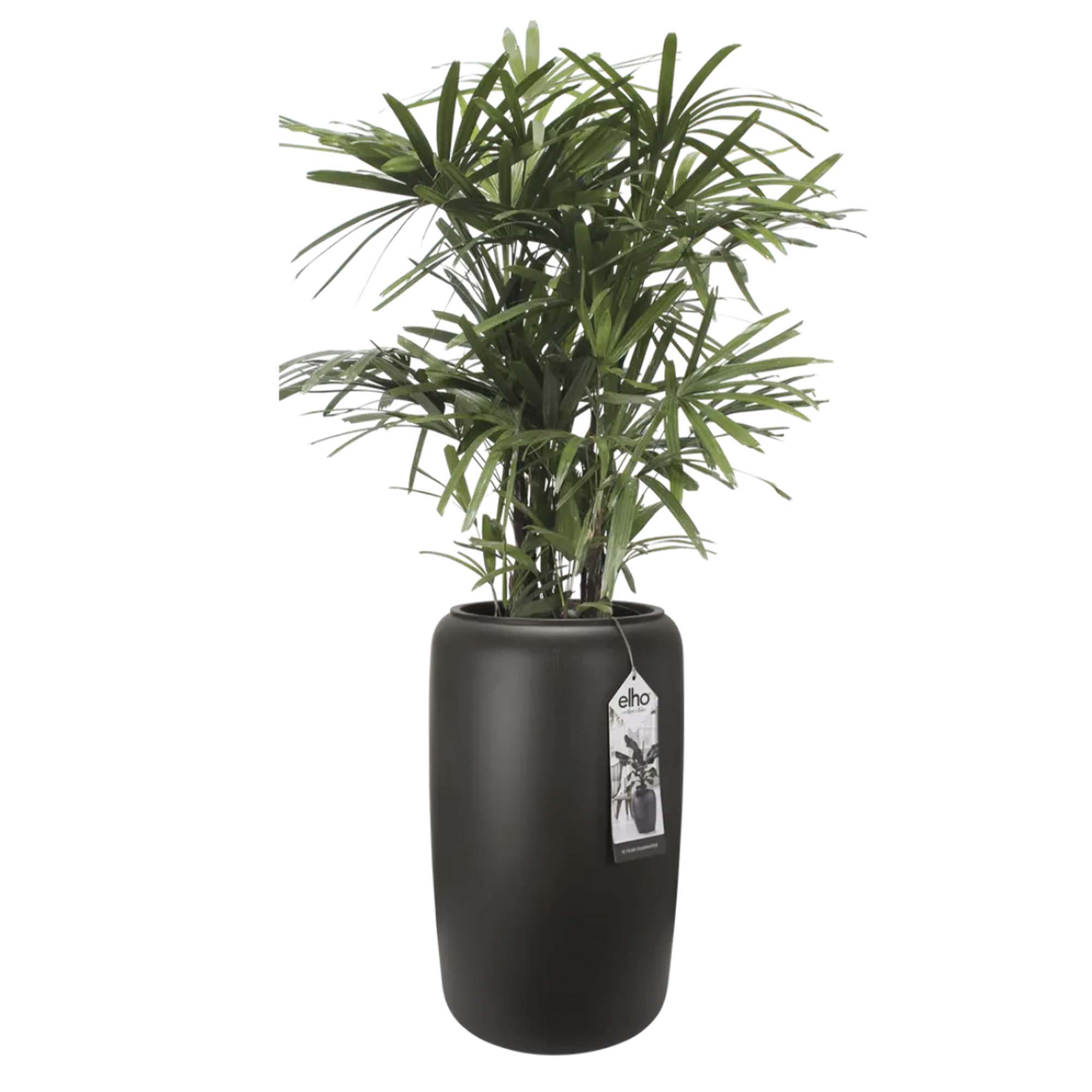 8711904350260_2.jpg 97f7511dd9c178255d5f3a700ade6b43