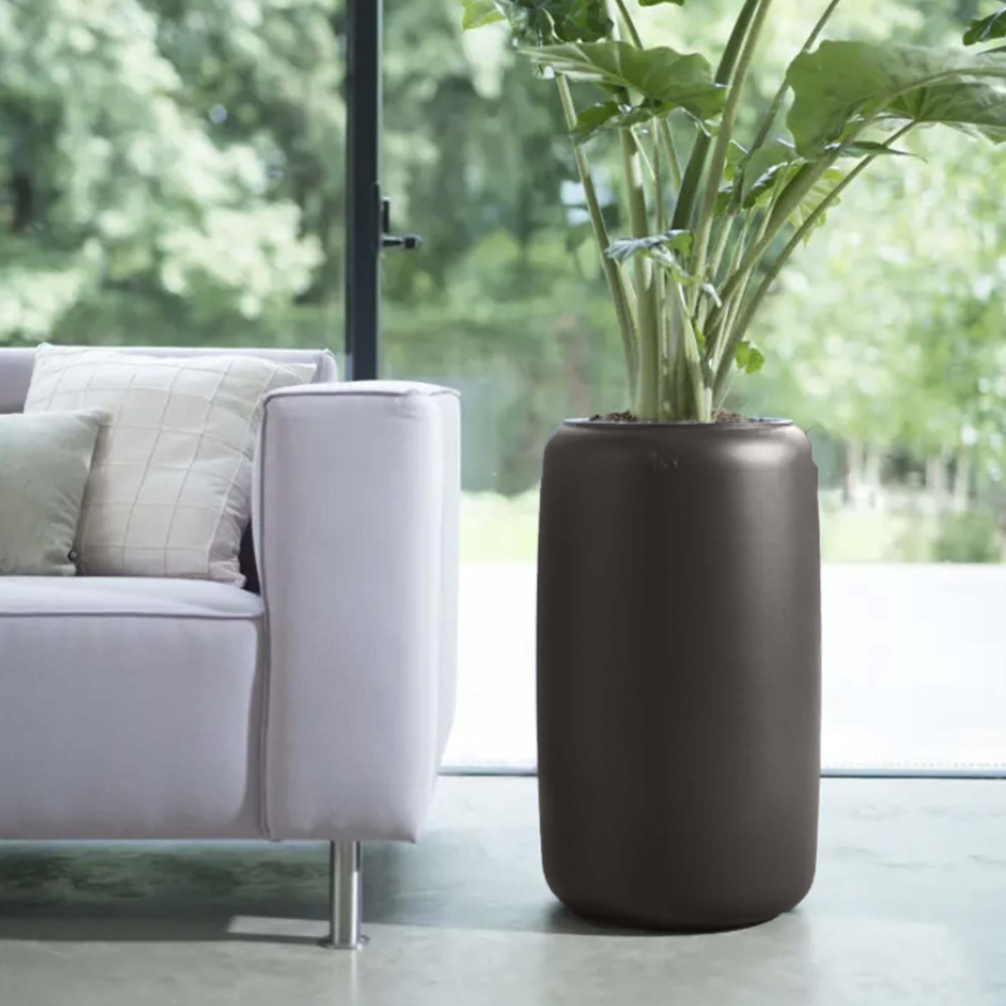 8711904350260_4.jpg 65cb49488dad1c737e8d00fdc7f34322