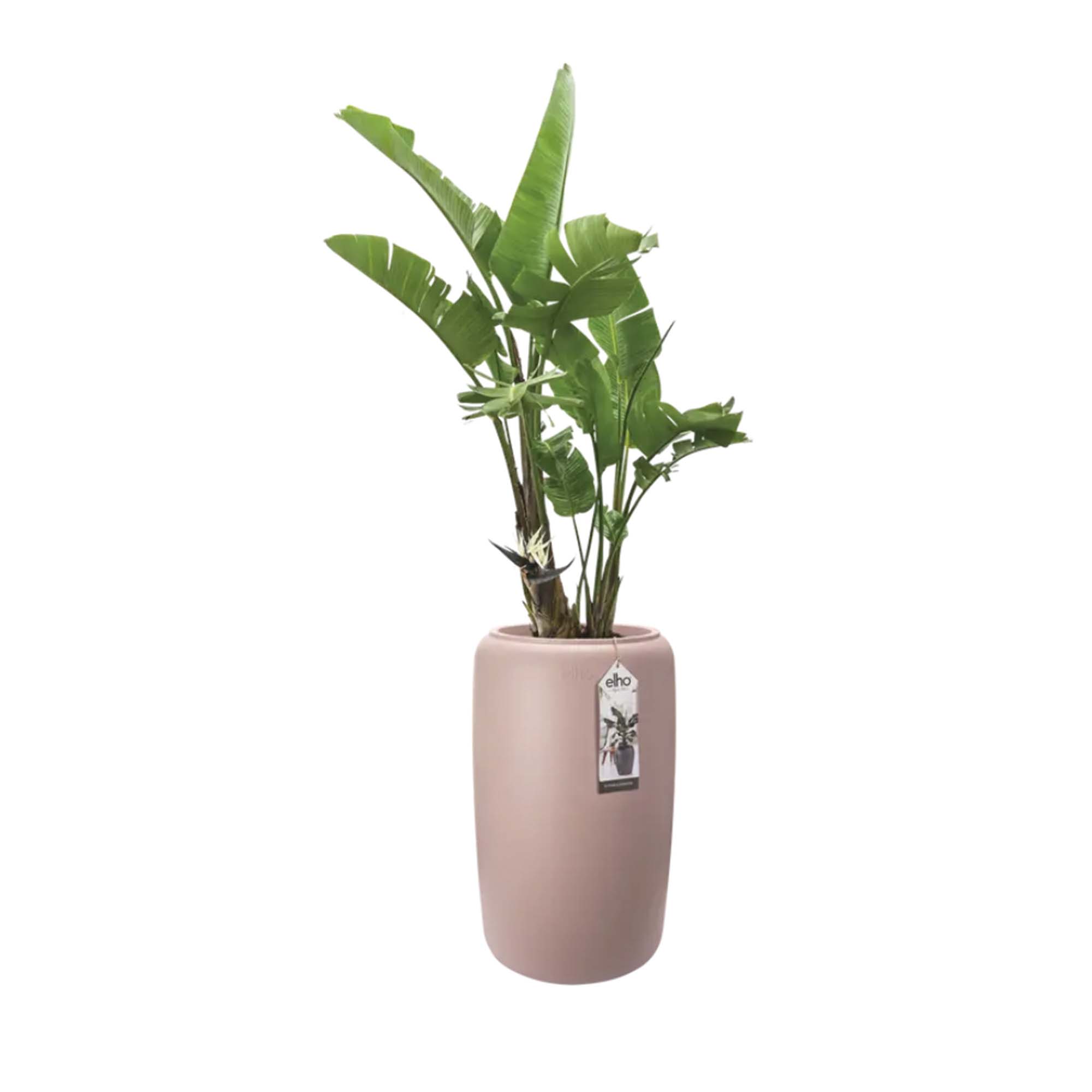 8711904350284_1.jpg 061294b5bb58dbc20236d86595aa920a