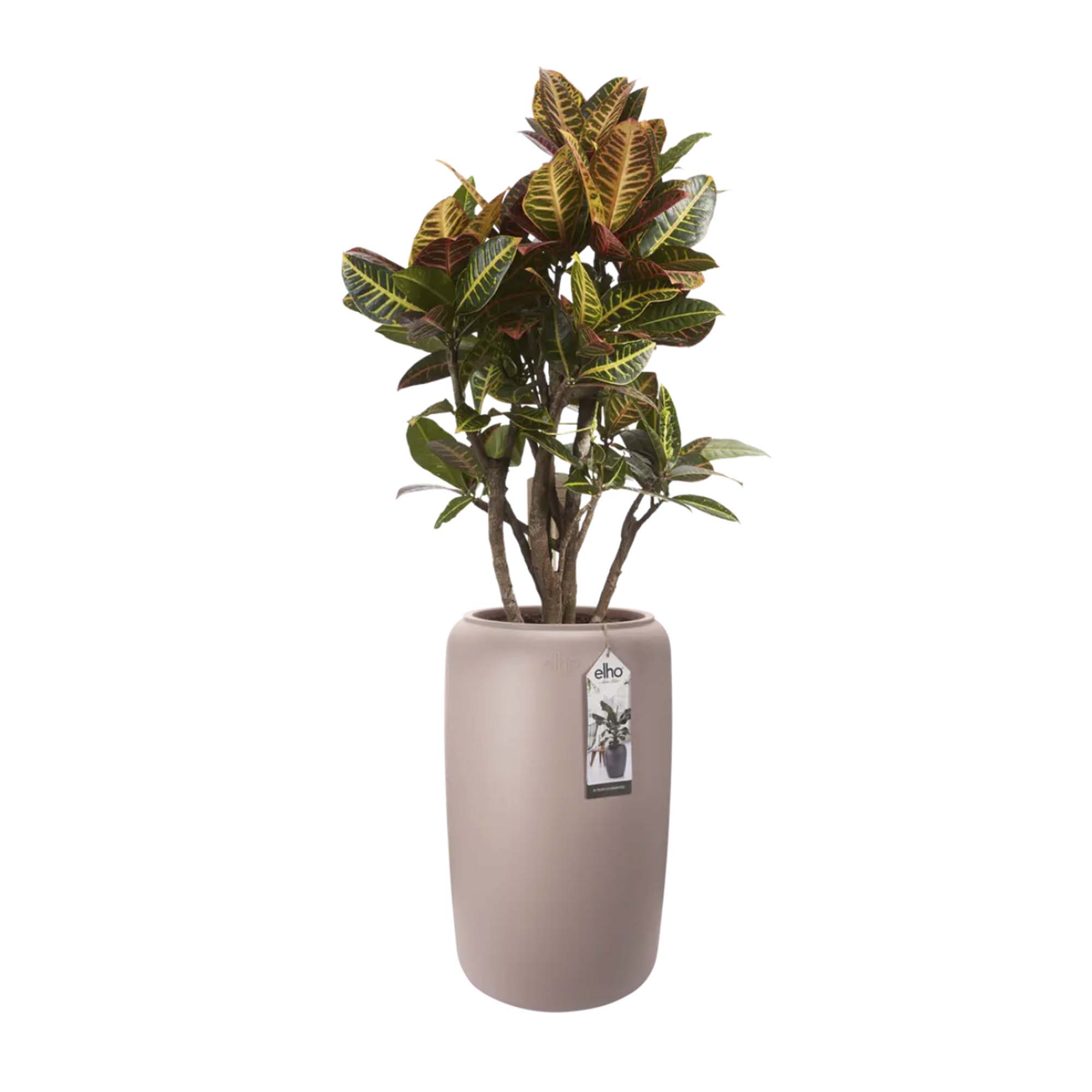 8711904350284_2.jpg 5eb37aba296d504fc2b3d325e0216313