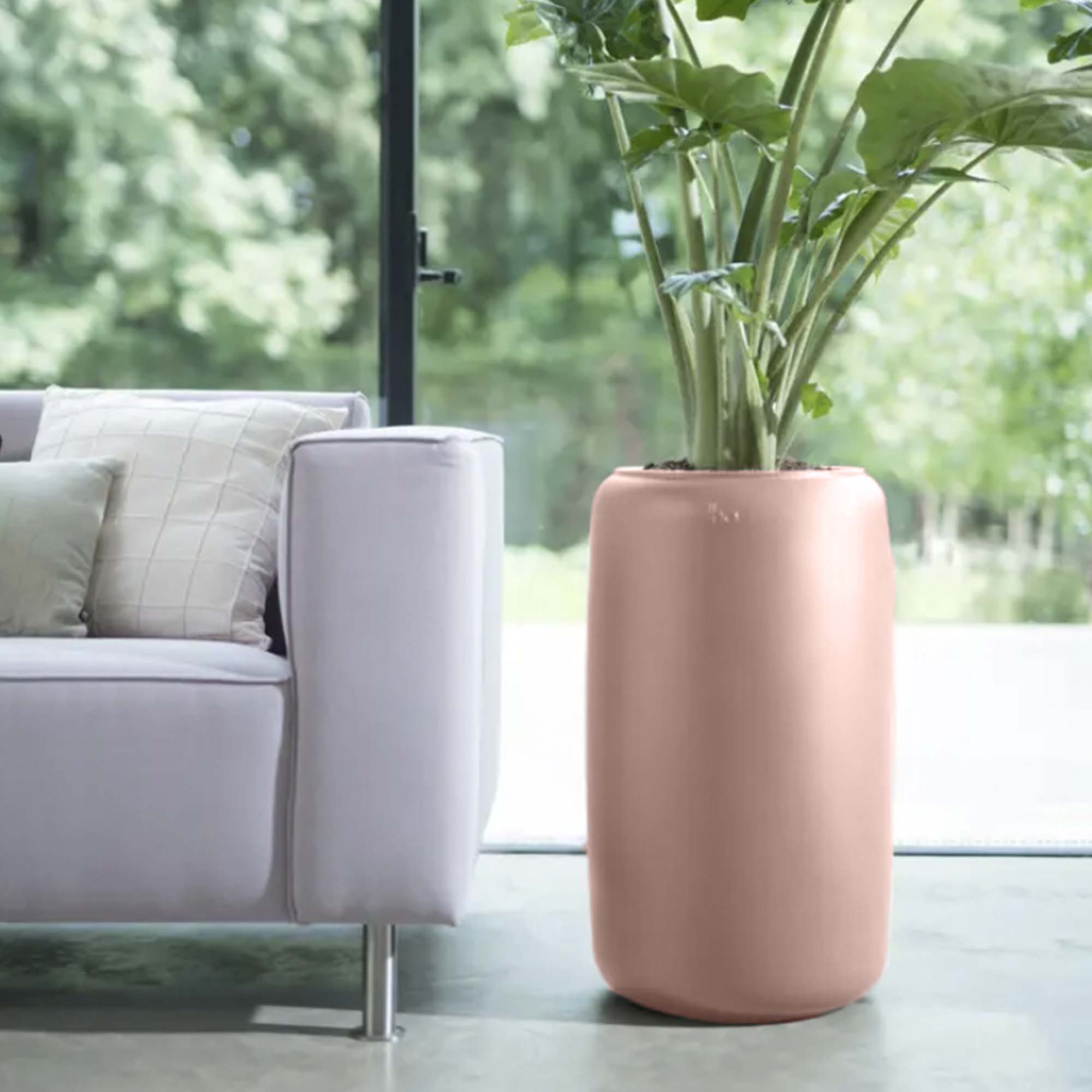 8711904350284_4.jpg dbfa96b8b012d374c471d698964a0260