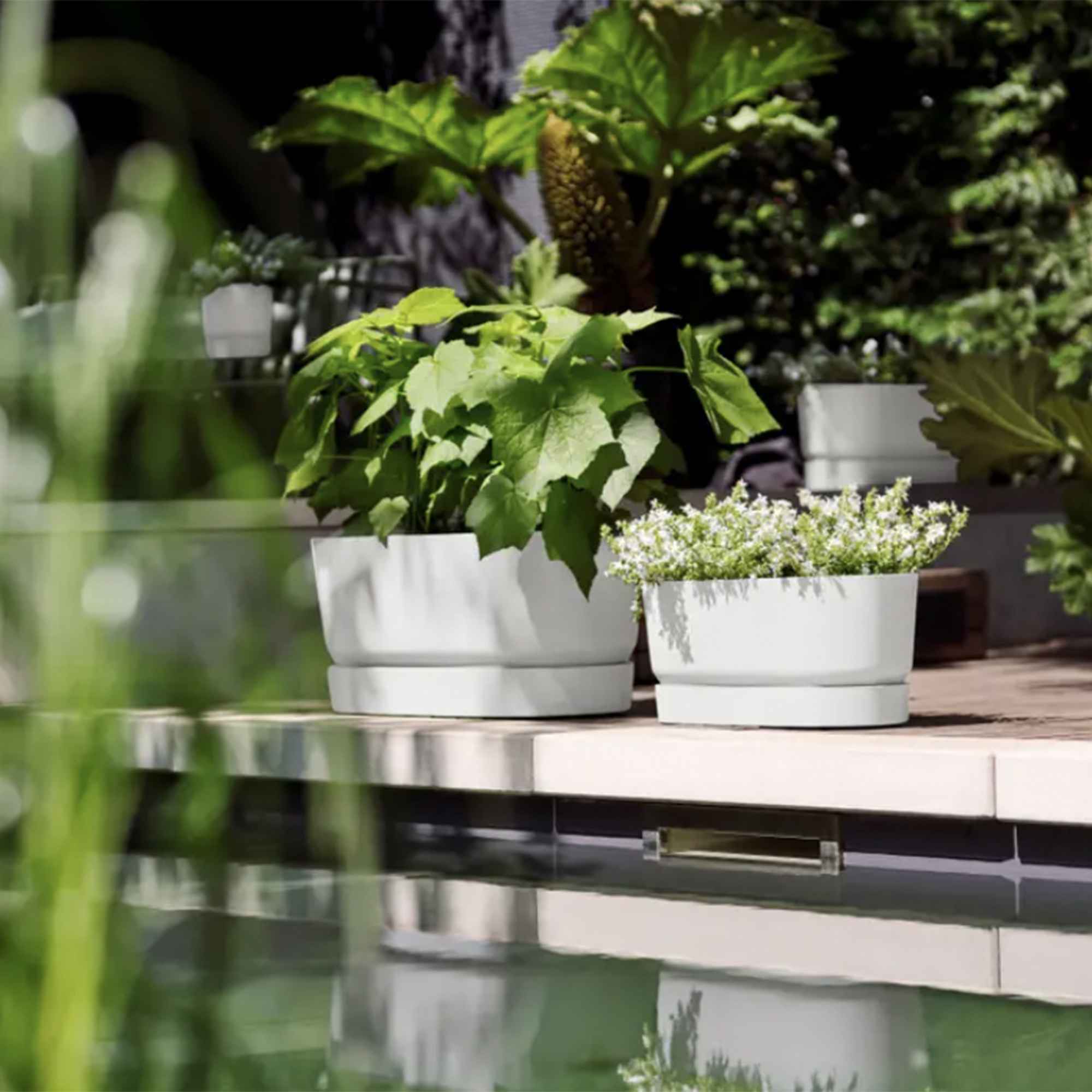 Screenshot 8a681100e4d193d843cebb71169b190d