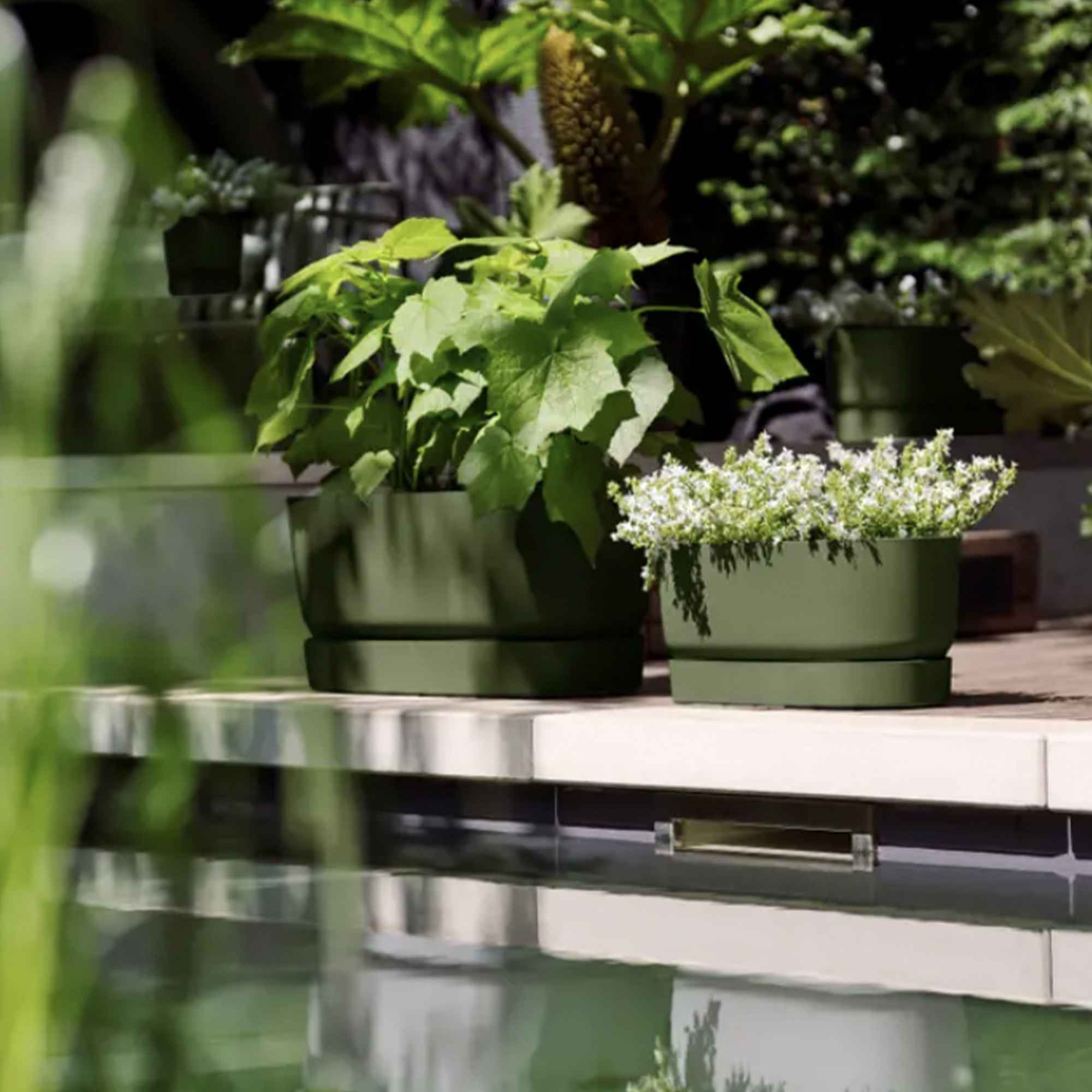 54819e5c0fe707166450f0c5ddfe200f