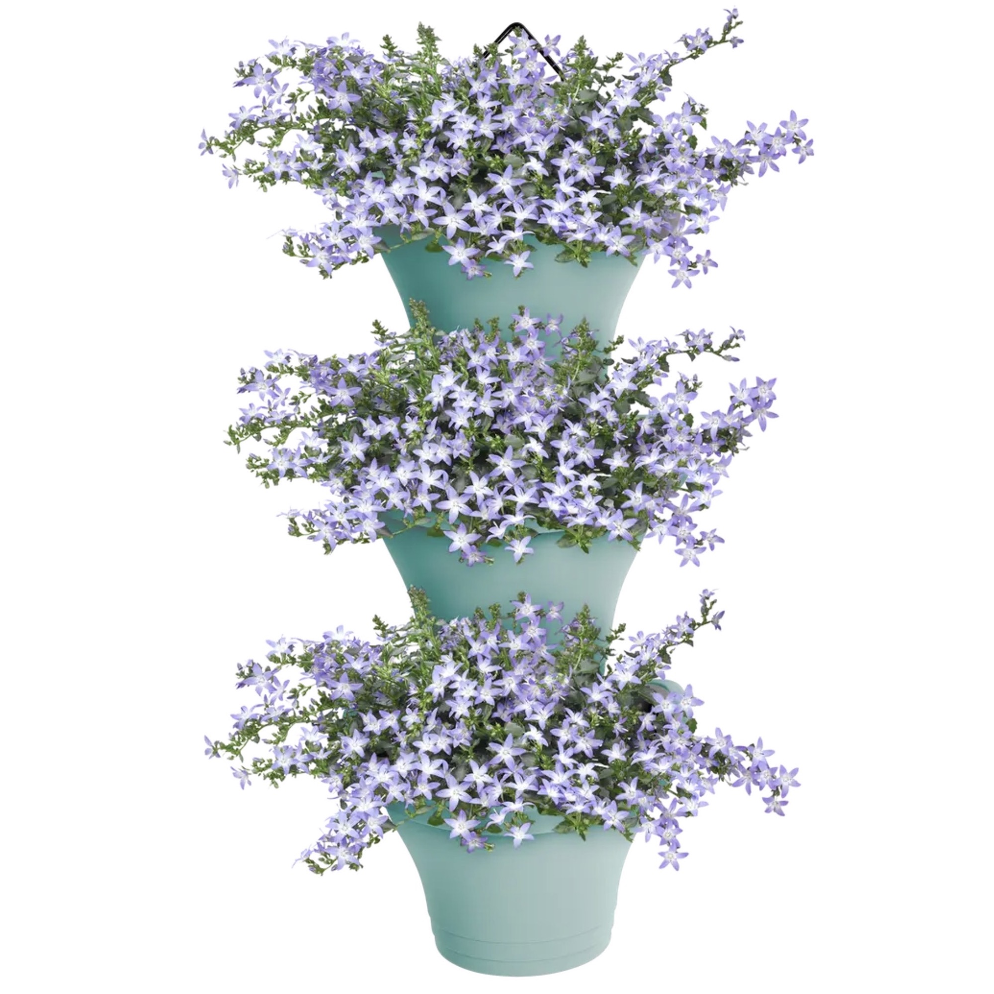 Screenshot dc48bad6f82020a2feae169af3666ce0