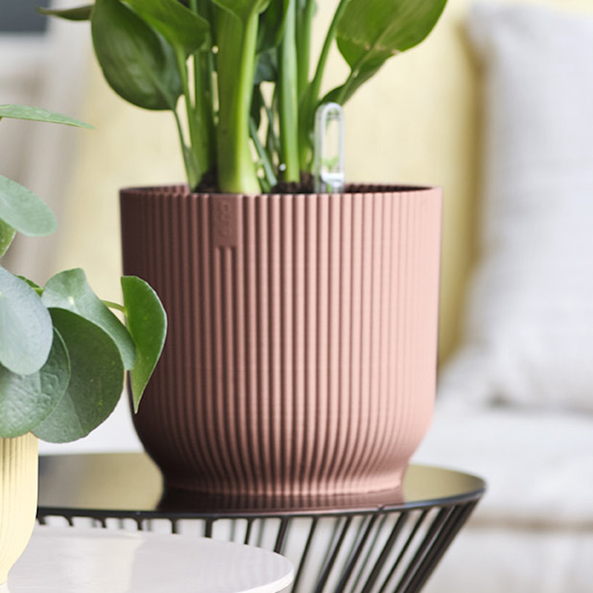 8711904480851_4.jpg 290a788c7d9b3a1f271c92ab9a7c775d