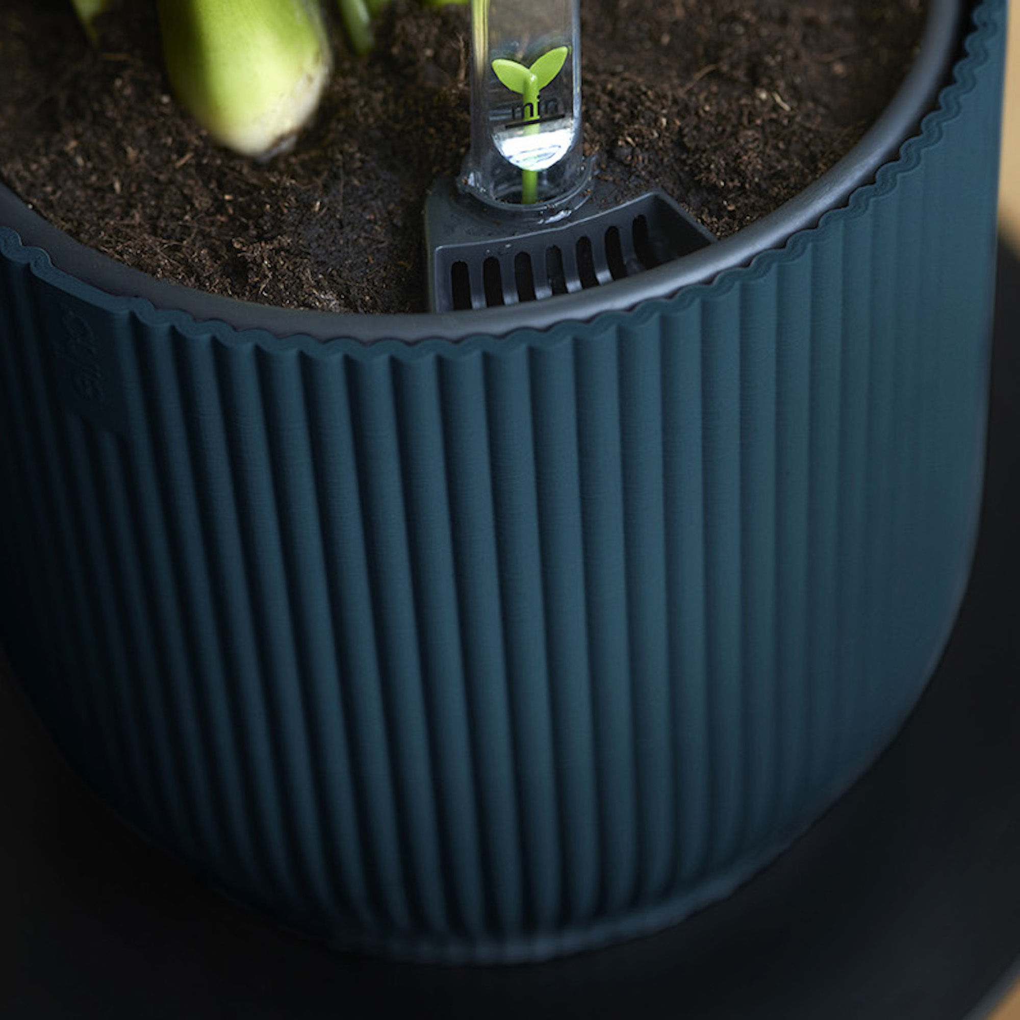 8711904481032_3.jpg 7d69a1d0581b395b674466bd0717d245