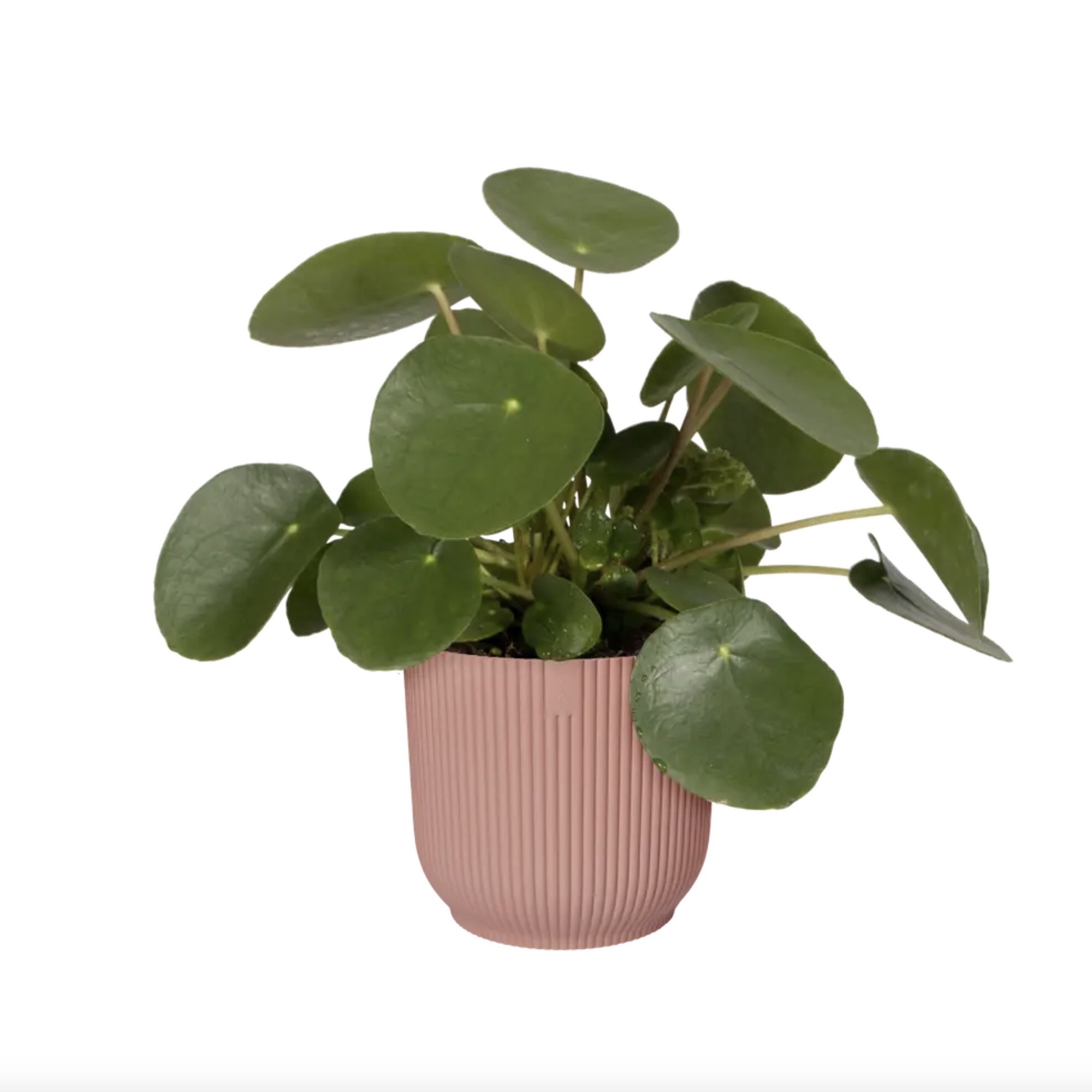 Screenshot 45a456fa228adc40dd8dc2d77ffb5103